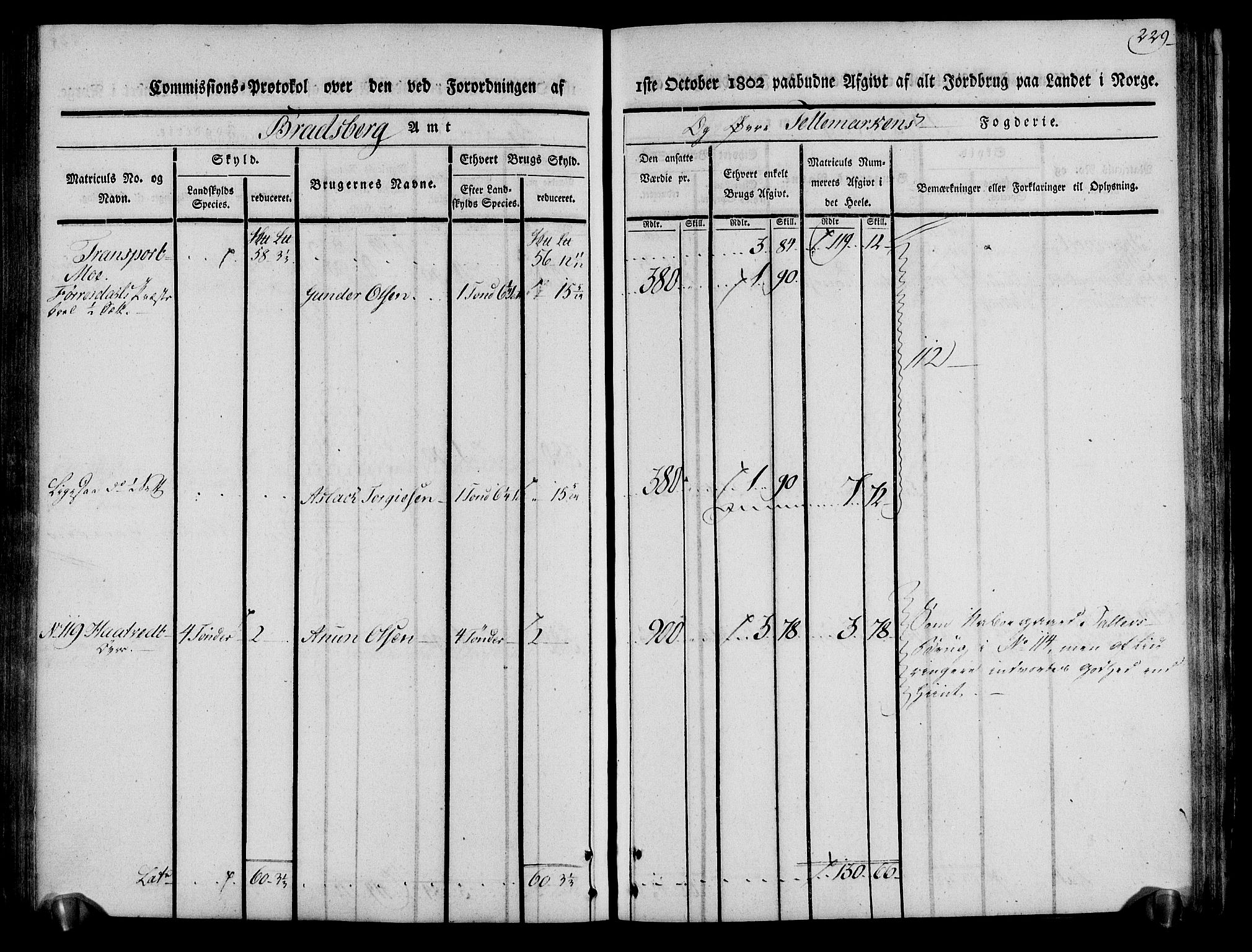 Rentekammeret inntil 1814, Realistisk ordnet avdeling, AV/RA-EA-4070/N/Ne/Nea/L0075: Øvre Telemarken fogderi. Kommisjonsprotokoll for fogderiets vestre del - Kviteseid, Vinje, Moland [):Fyresdal] og Lårdal prestegjeld., 1803, p. 231