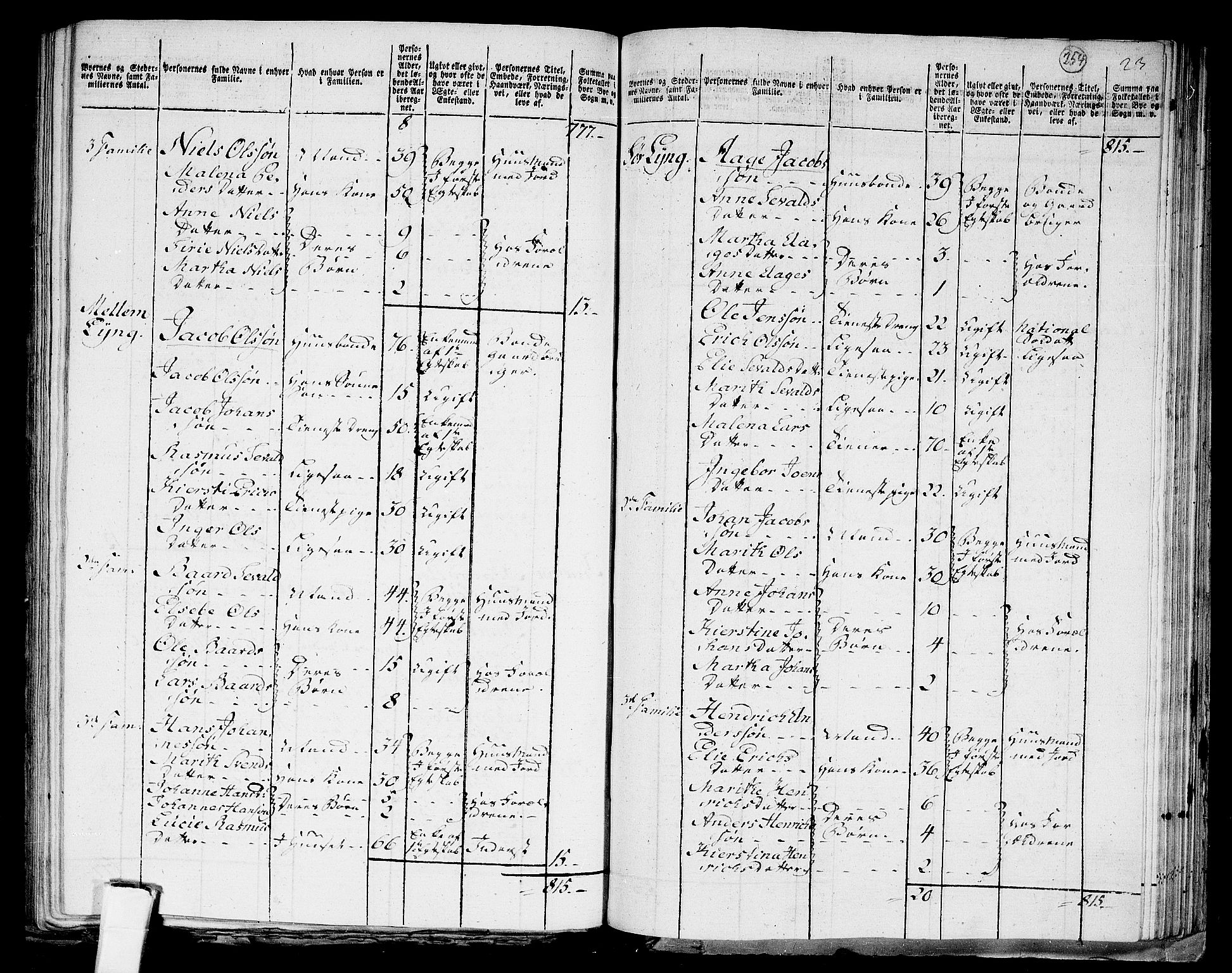 RA, 1801 census for 1721P Verdal, 1801, p. 253b-254a