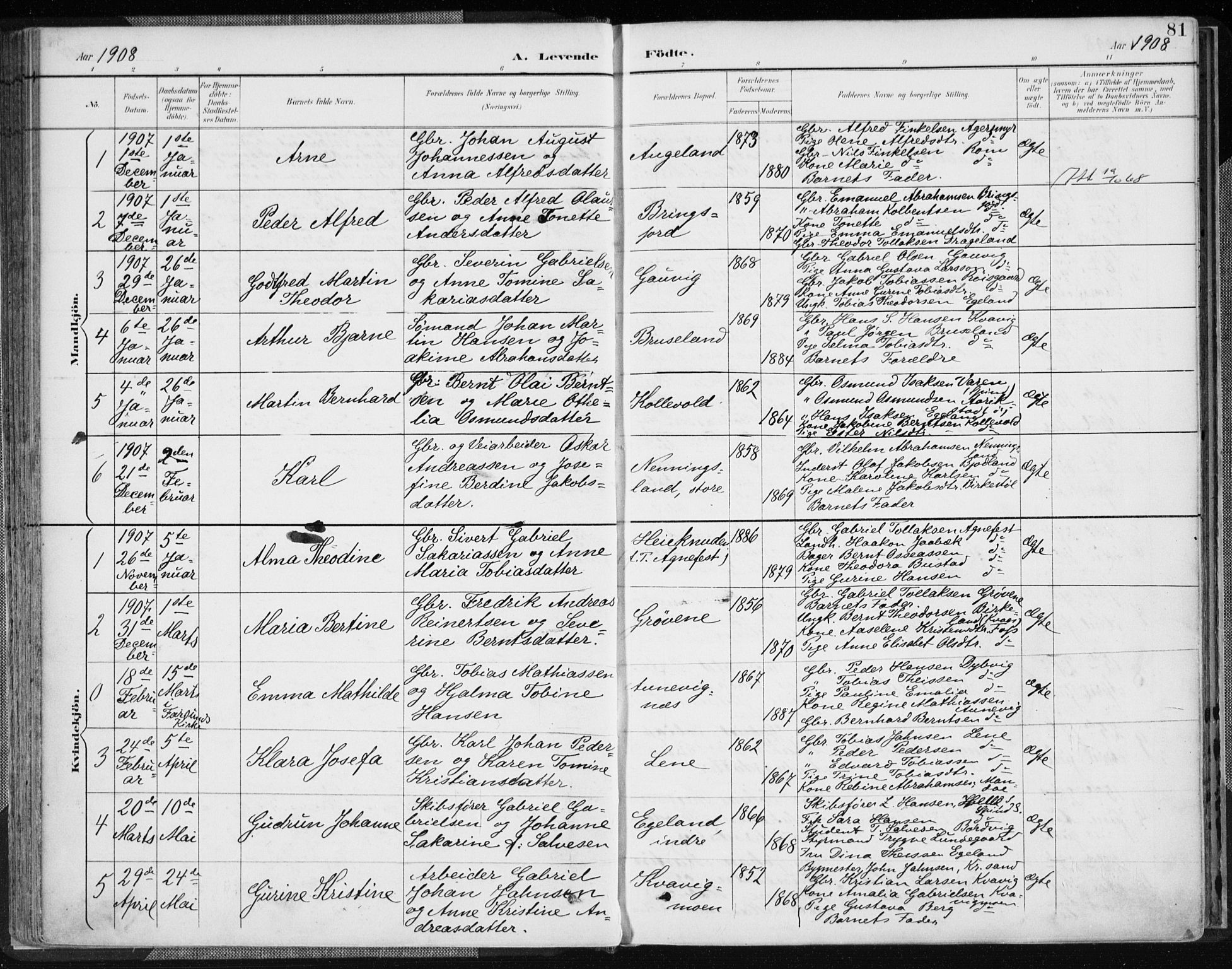 Lyngdal sokneprestkontor, AV/SAK-1111-0029/F/Fa/Fac/L0012: Parish register (official) no. A 12, 1894-1918, p. 81