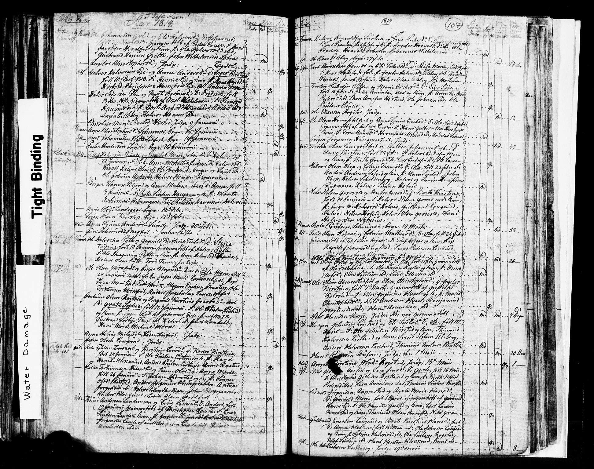 Sandsvær kirkebøker, AV/SAKO-A-244/G/Ga/L0002: Parish register (copy) no. I 2, 1796-1817, p. 107