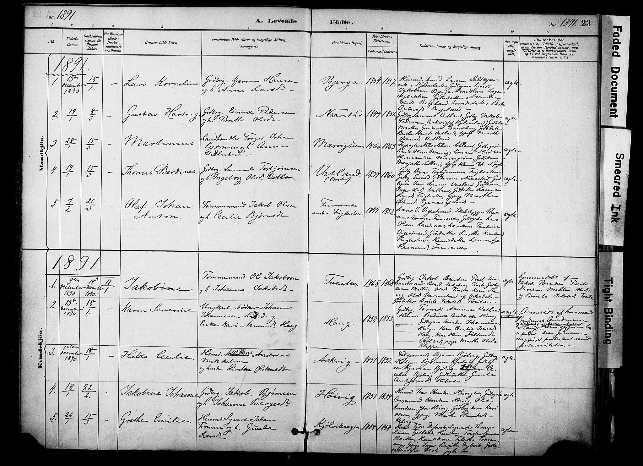 Jelsa sokneprestkontor, SAST/A-101842/01/IV: Parish register (official) no. A 10, 1884-1906, p. 23