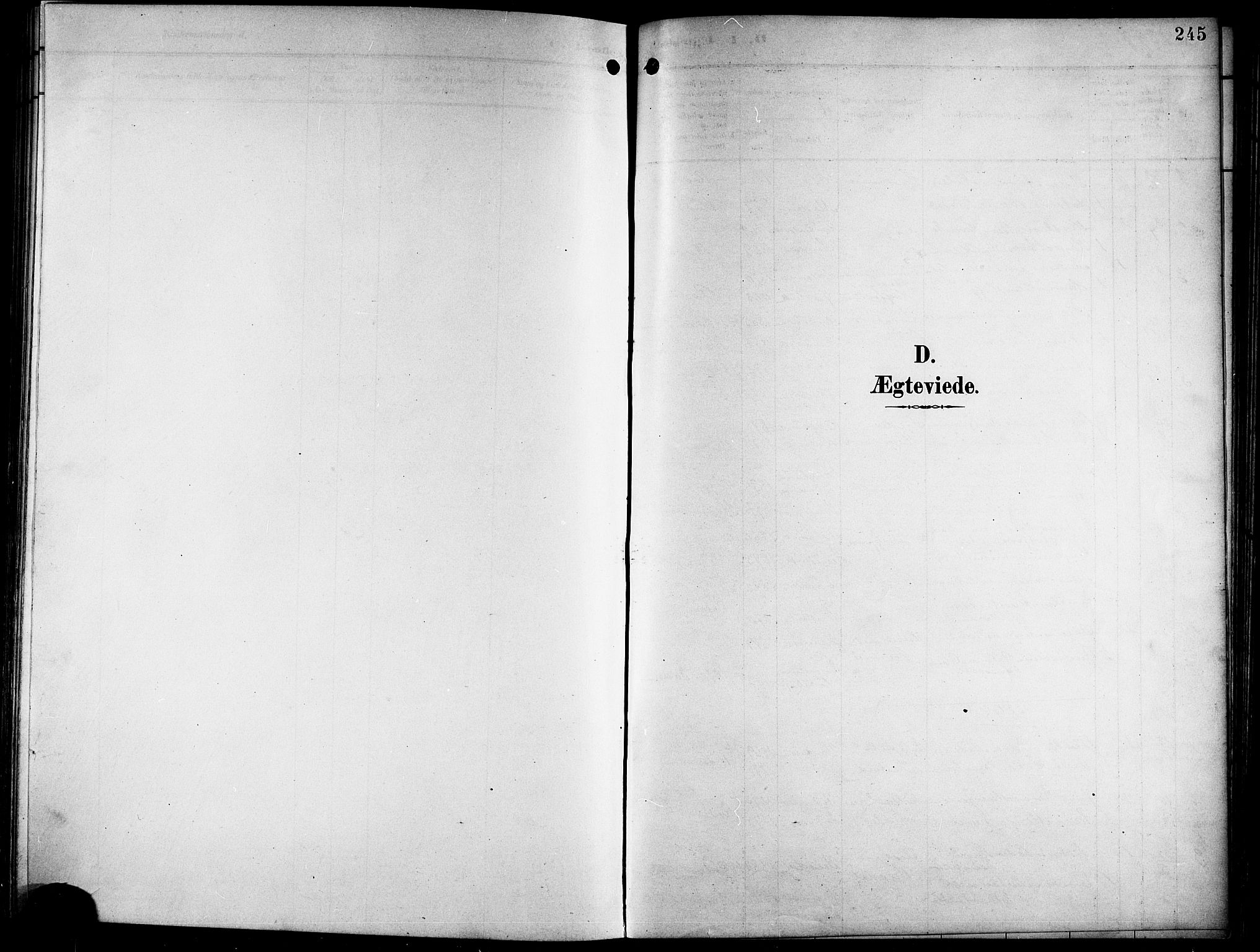 Ministerialprotokoller, klokkerbøker og fødselsregistre - Nordland, SAT/A-1459/841/L0621: Parish register (copy) no. 841C05, 1897-1923, p. 245