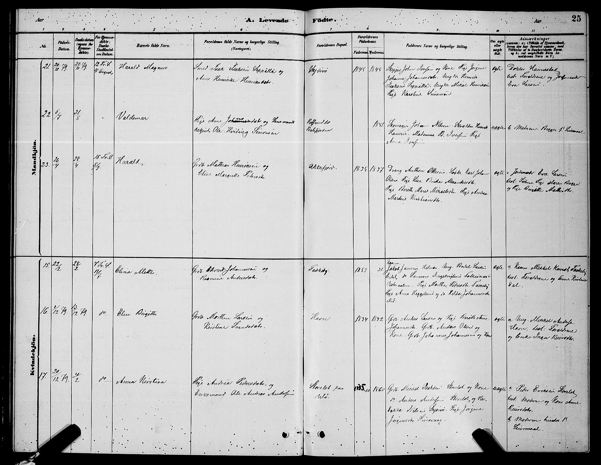 Skjervøy sokneprestkontor, AV/SATØ-S-1300/H/Ha/Hab/L0006klokker: Parish register (copy) no. 6, 1878-1888, p. 25