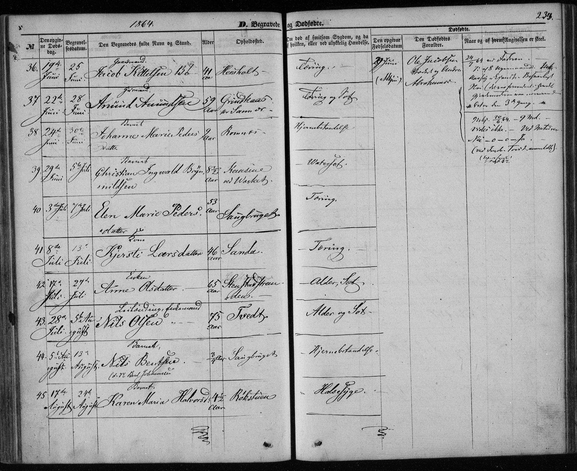 Holla kirkebøker, AV/SAKO-A-272/F/Fa/L0006: Parish register (official) no. 6, 1861-1869, p. 233