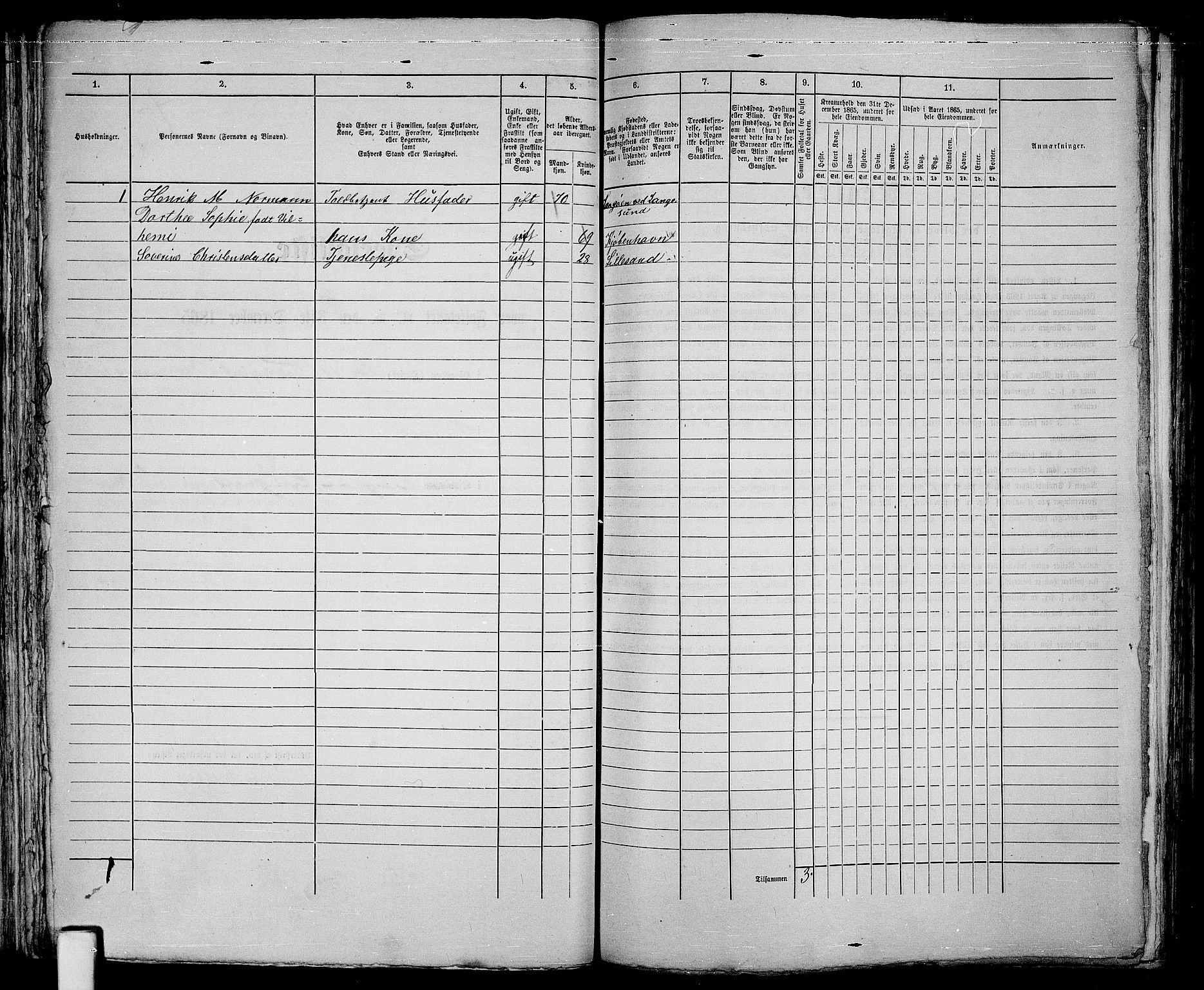 RA, 1865 census for Vestre Moland/Lillesand, 1865, p. 95