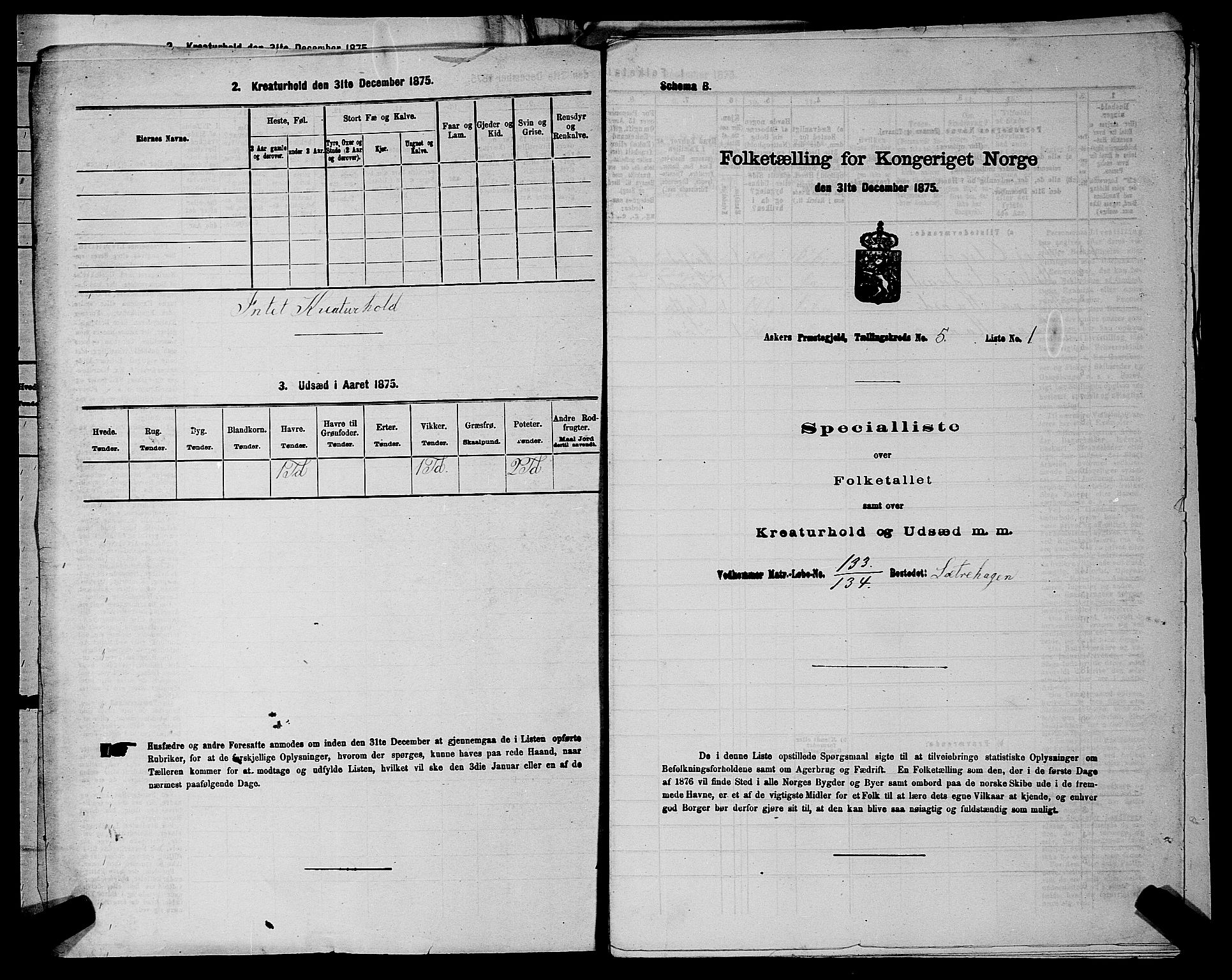 RA, 1875 census for 0220P Asker, 1875, p. 1030