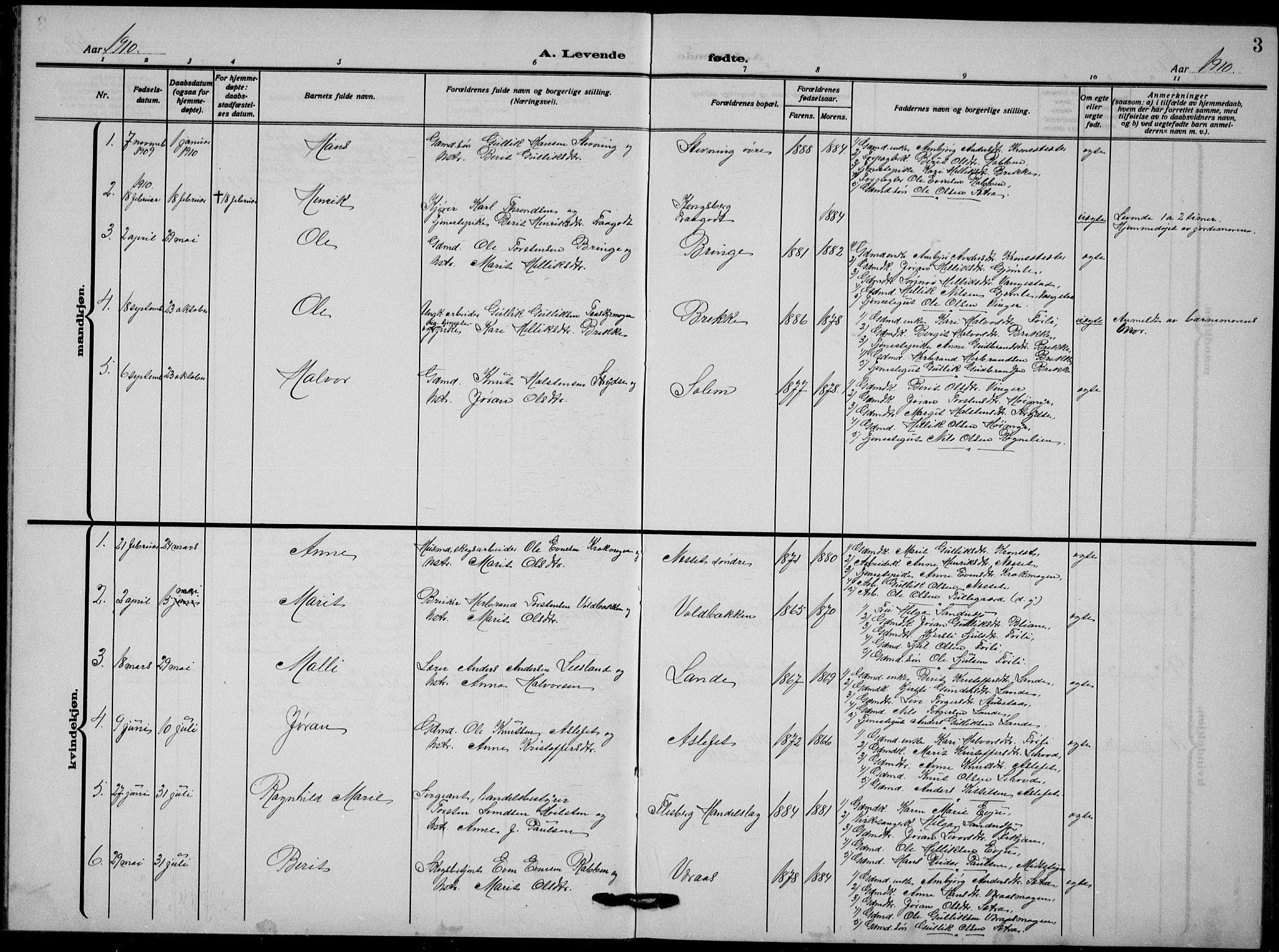 Flesberg kirkebøker, AV/SAKO-A-18/G/Ga/L0006: Parish register (copy) no. I 6, 1909-1924, p. 3