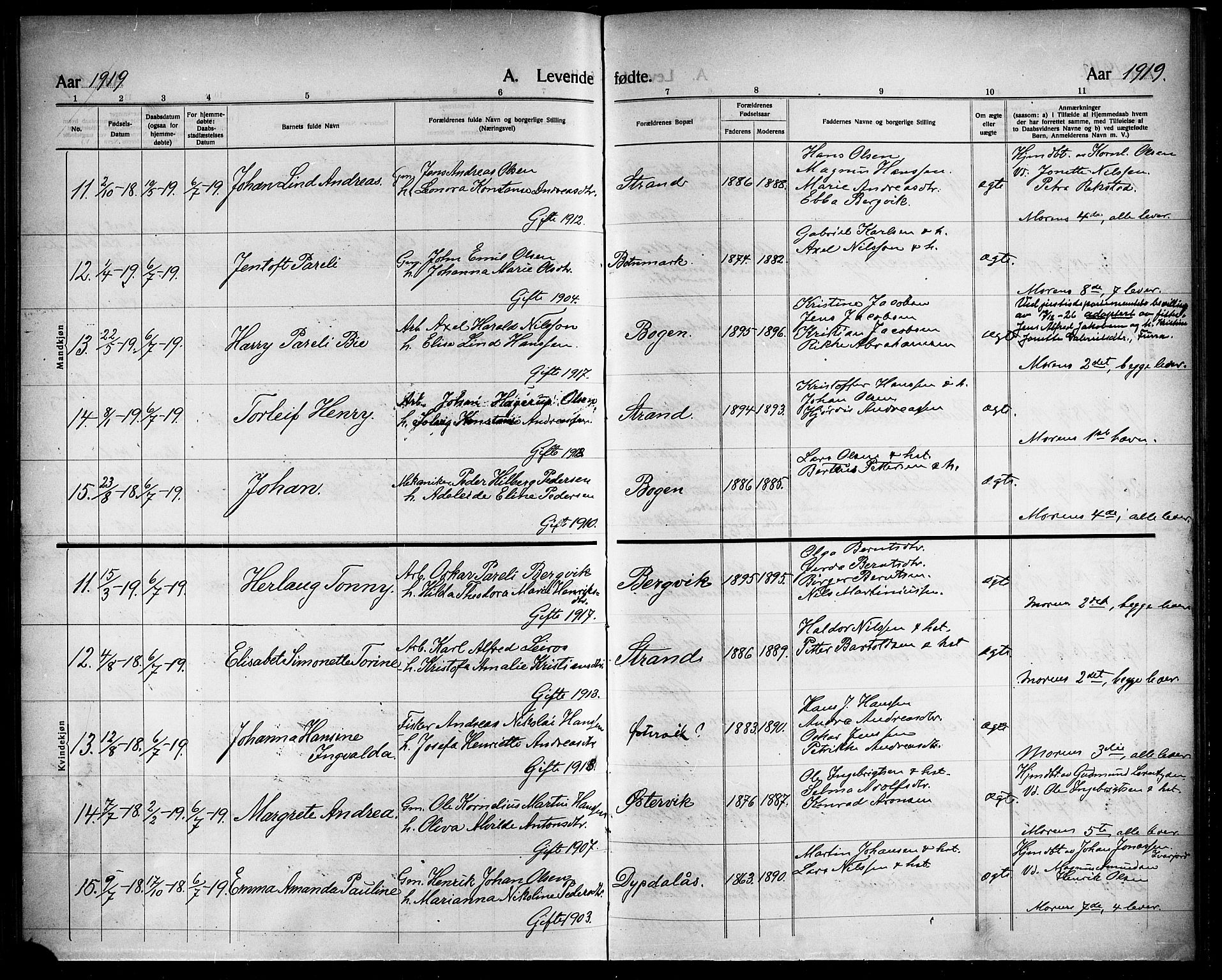 Ministerialprotokoller, klokkerbøker og fødselsregistre - Nordland, AV/SAT-A-1459/863/L0916: Parish register (copy) no. 863C06, 1907-1921