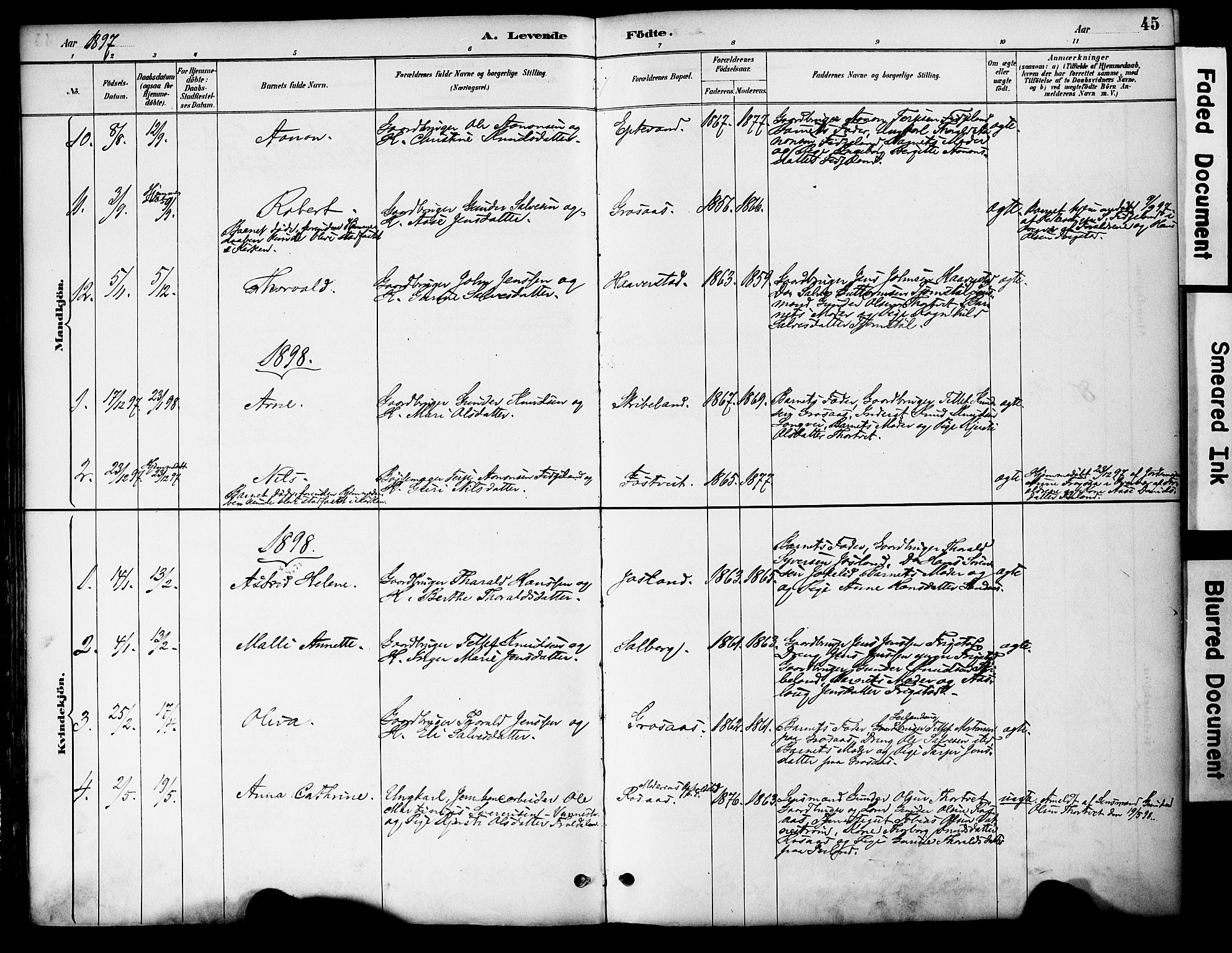 Evje sokneprestkontor, AV/SAK-1111-0008/F/Fa/Fac/L0003: Parish register (official) no. A 3, 1884-1909, p. 45