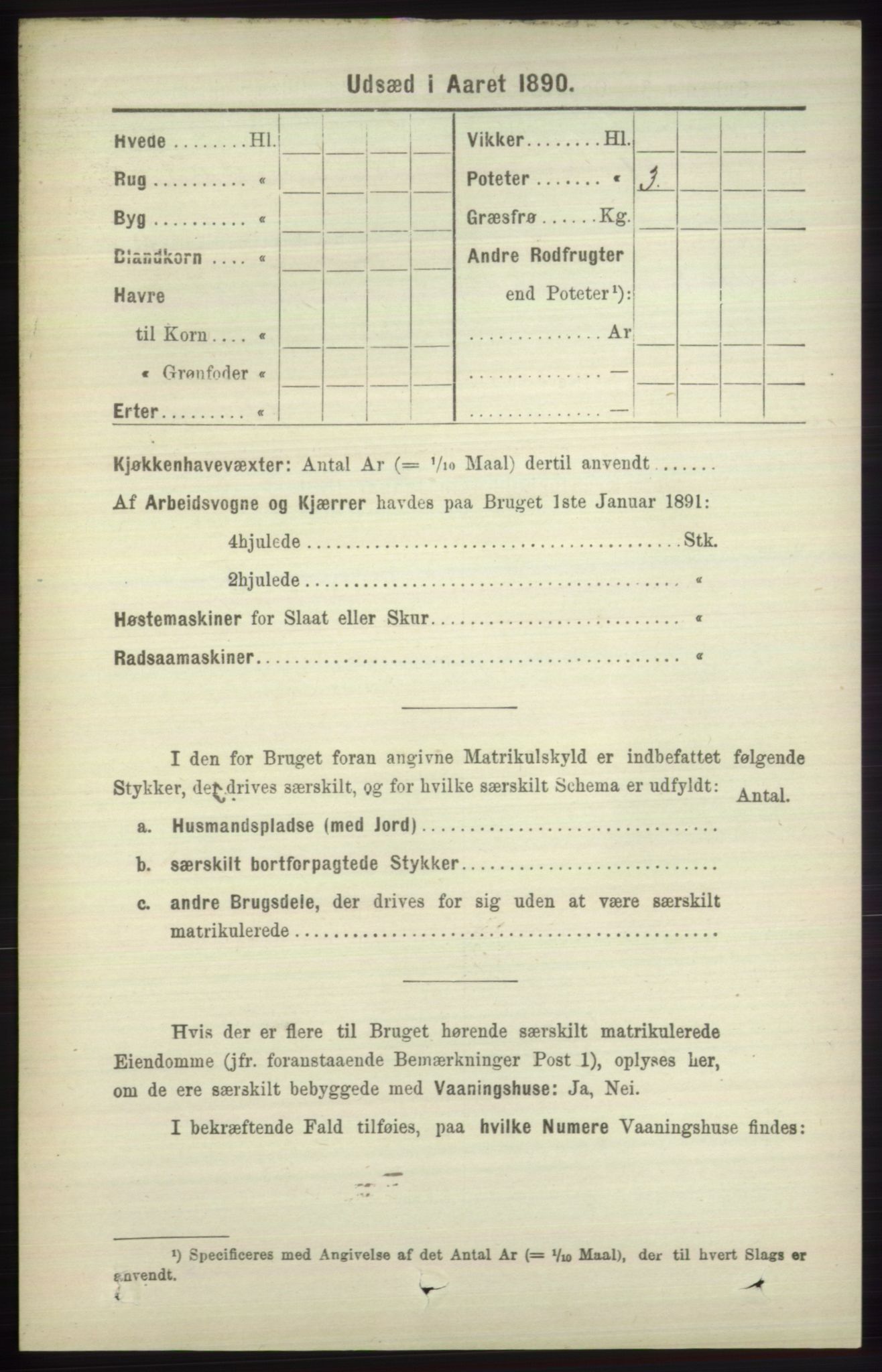 RA, 1891 census for 1251 Bruvik, 1891, p. 4552