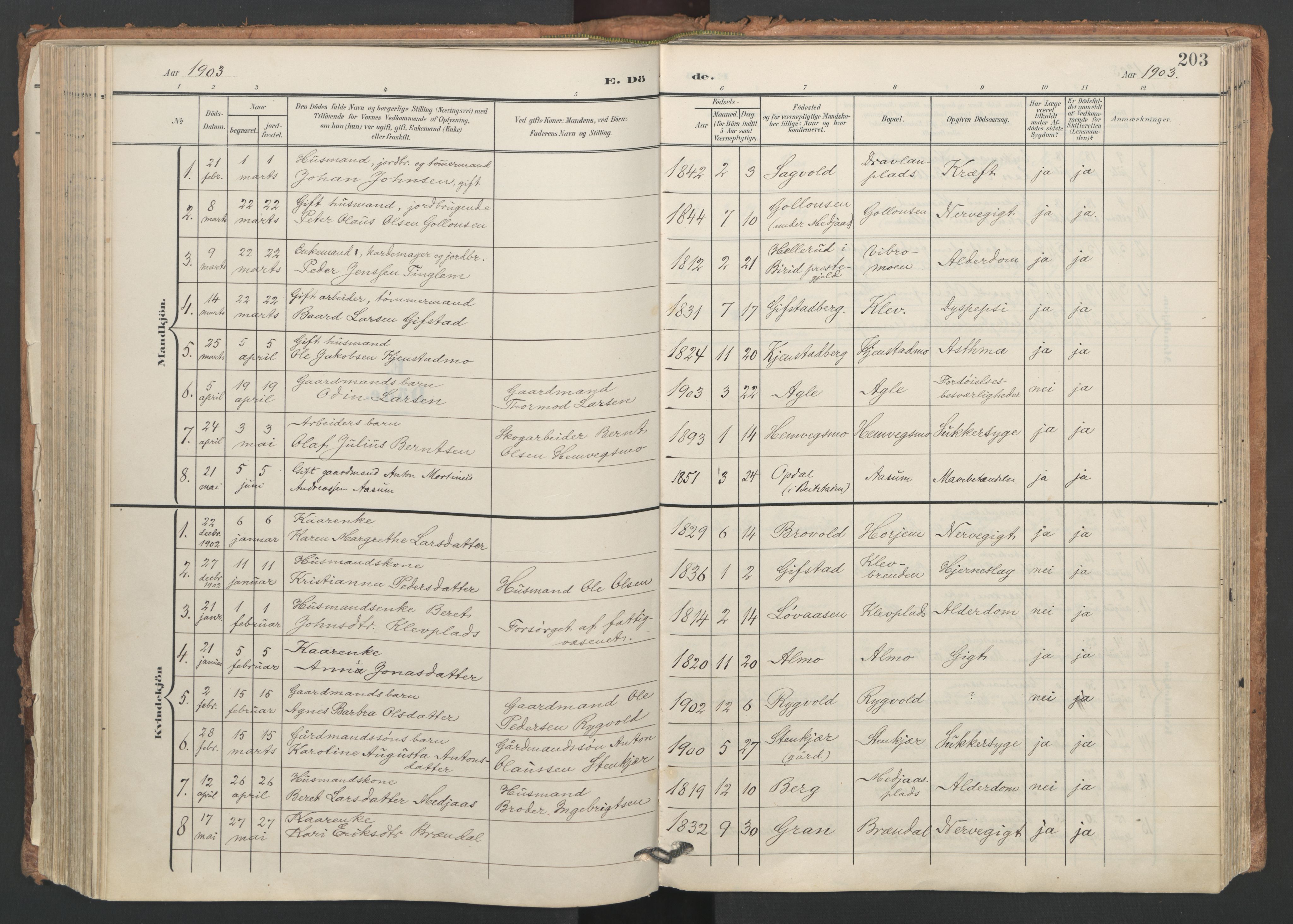 Ministerialprotokoller, klokkerbøker og fødselsregistre - Nord-Trøndelag, SAT/A-1458/749/L0477: Parish register (official) no. 749A11, 1902-1927, p. 203