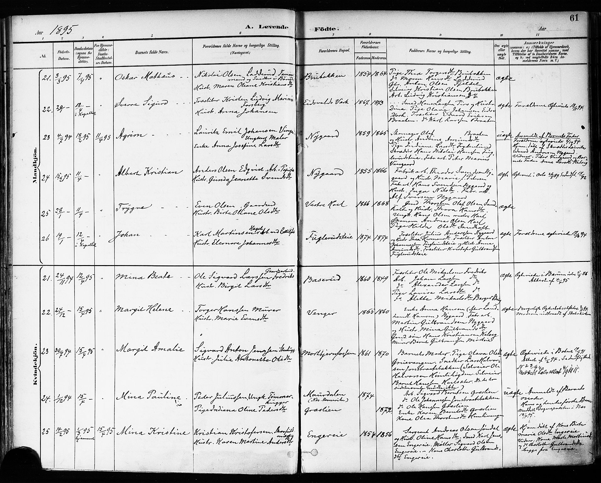 Eidsvoll prestekontor Kirkebøker, SAO/A-10888/F/Fa/L0004: Parish register (official) no. I 4, 1891-1900, p. 61