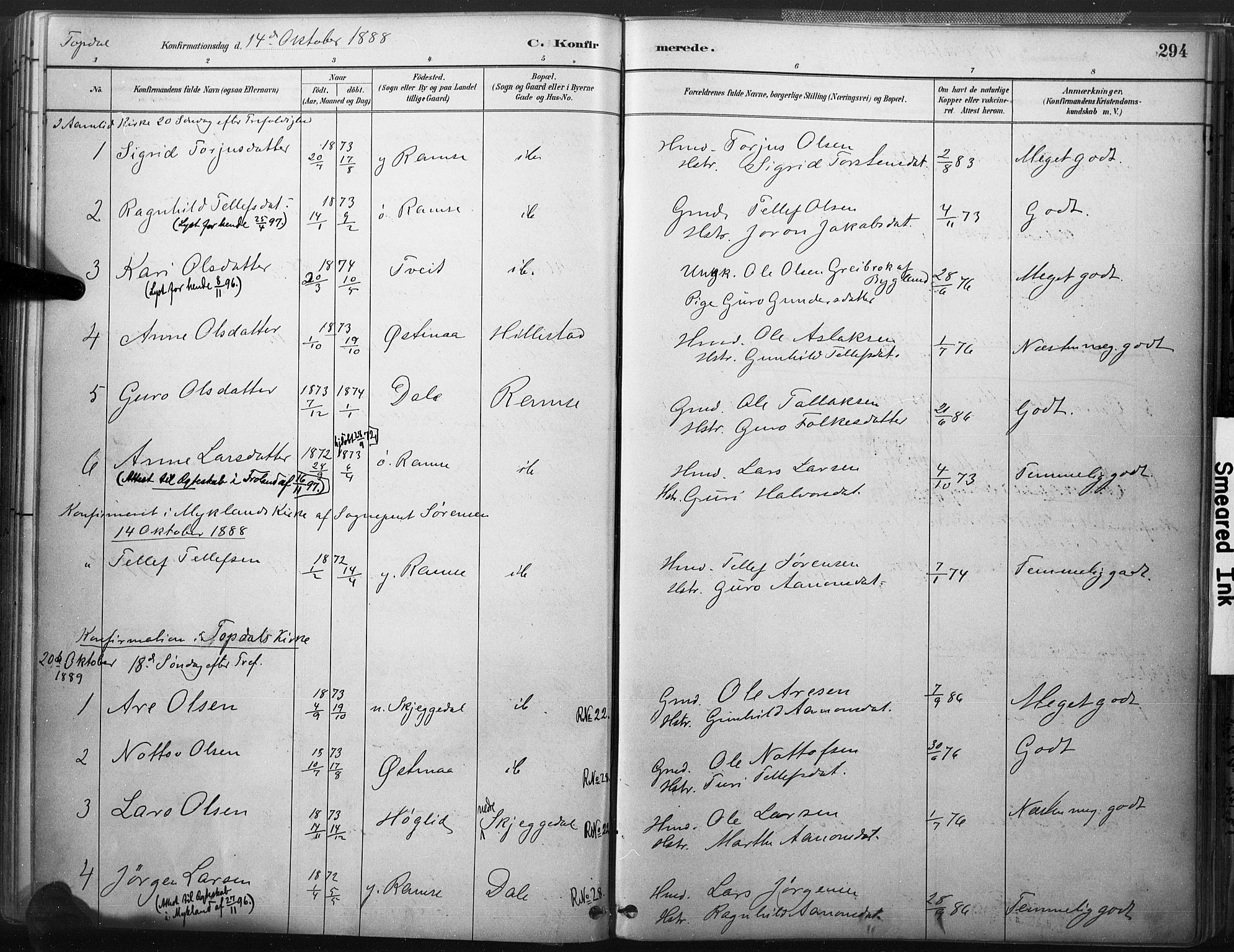 Åmli sokneprestkontor, AV/SAK-1111-0050/F/Fa/Fac/L0010: Parish register (official) no. A 10 /3, 1885-1899, p. 294