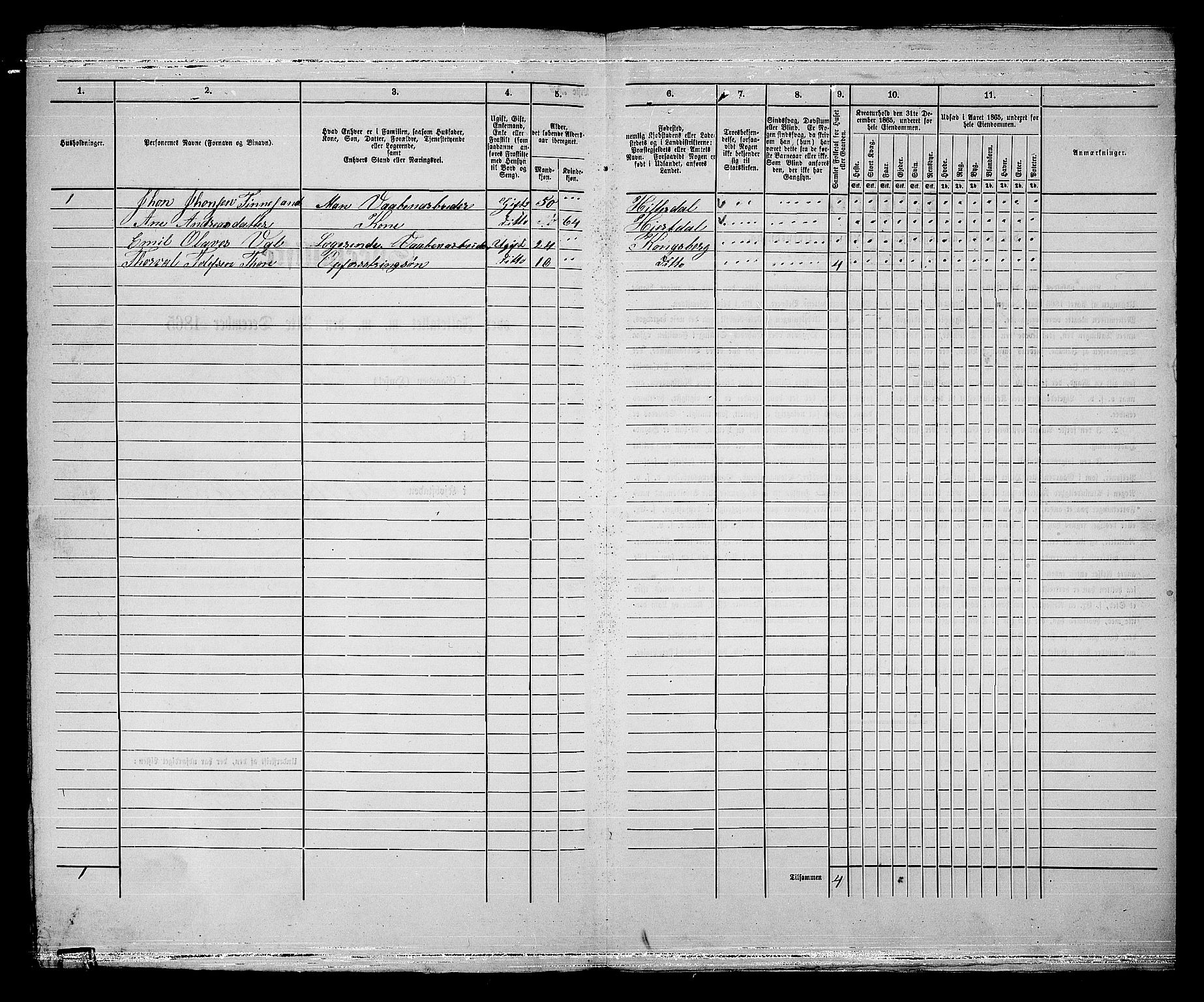 RA, 1865 census for Kongsberg/Kongsberg, 1865, p. 509