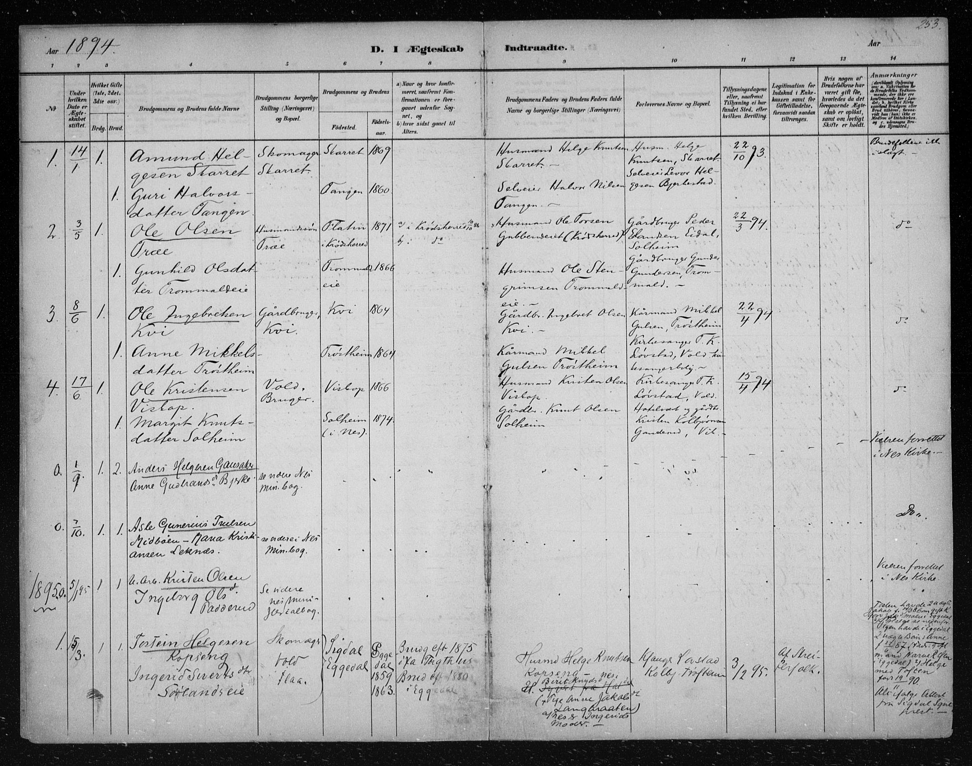 Nes kirkebøker, AV/SAKO-A-236/F/Fa/L0012: Parish register (official) no. 12, 1881-1917, p. 253