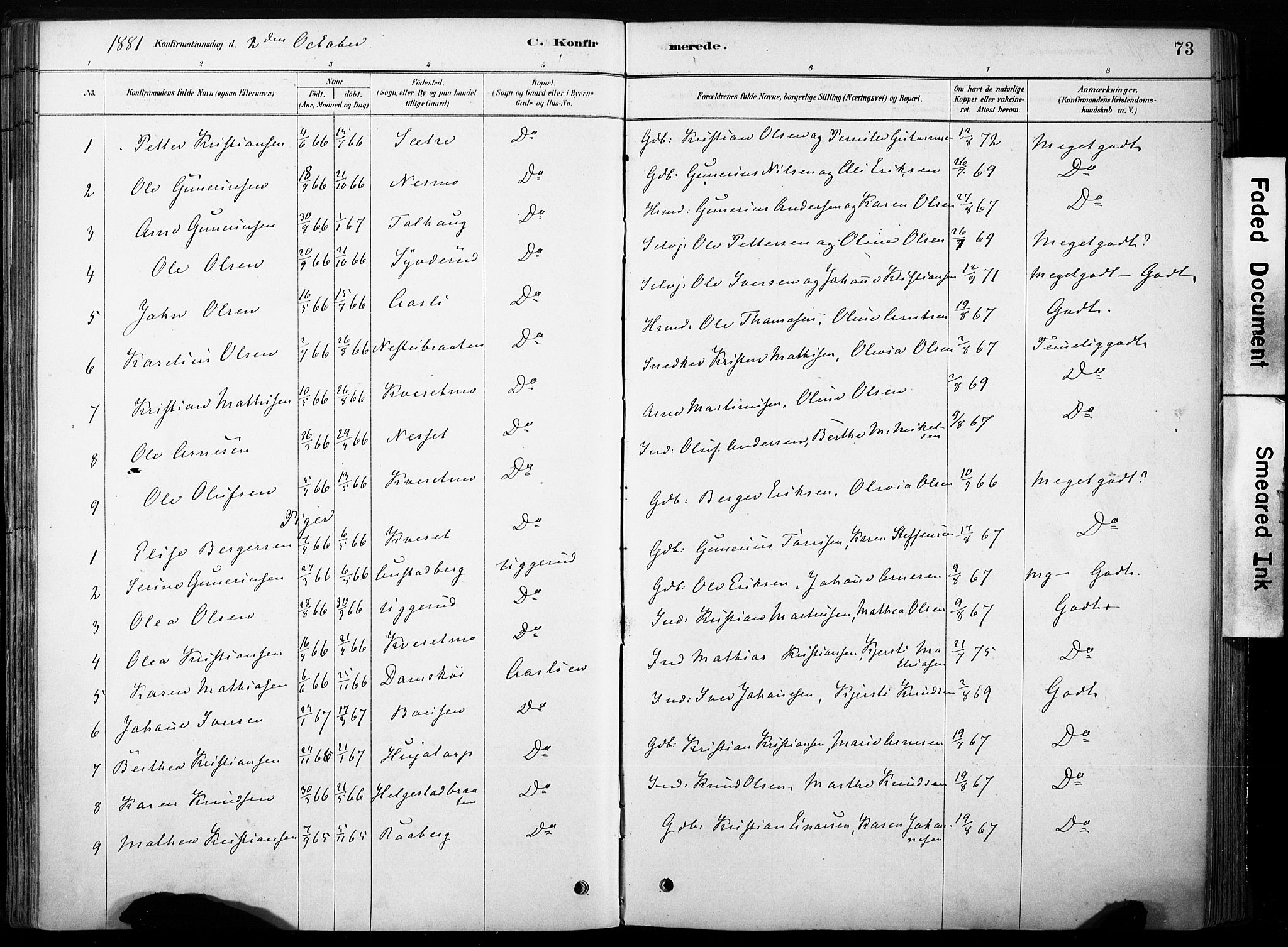 Hof prestekontor, AV/SAH-PREST-038/H/Ha/Haa/L0011: Parish register (official) no. 11, 1879-1911, p. 73