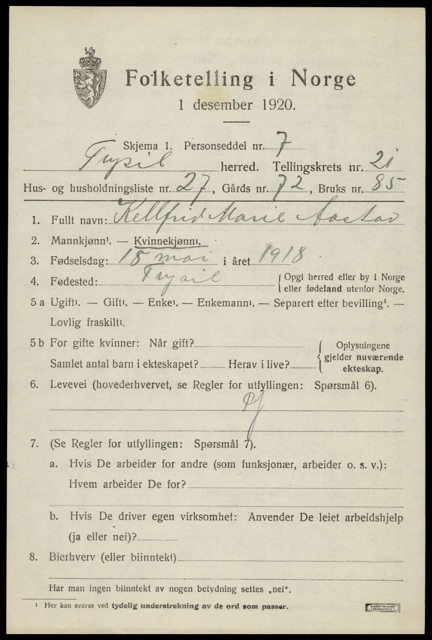 SAH, 1920 census for Trysil, 1920, p. 14101