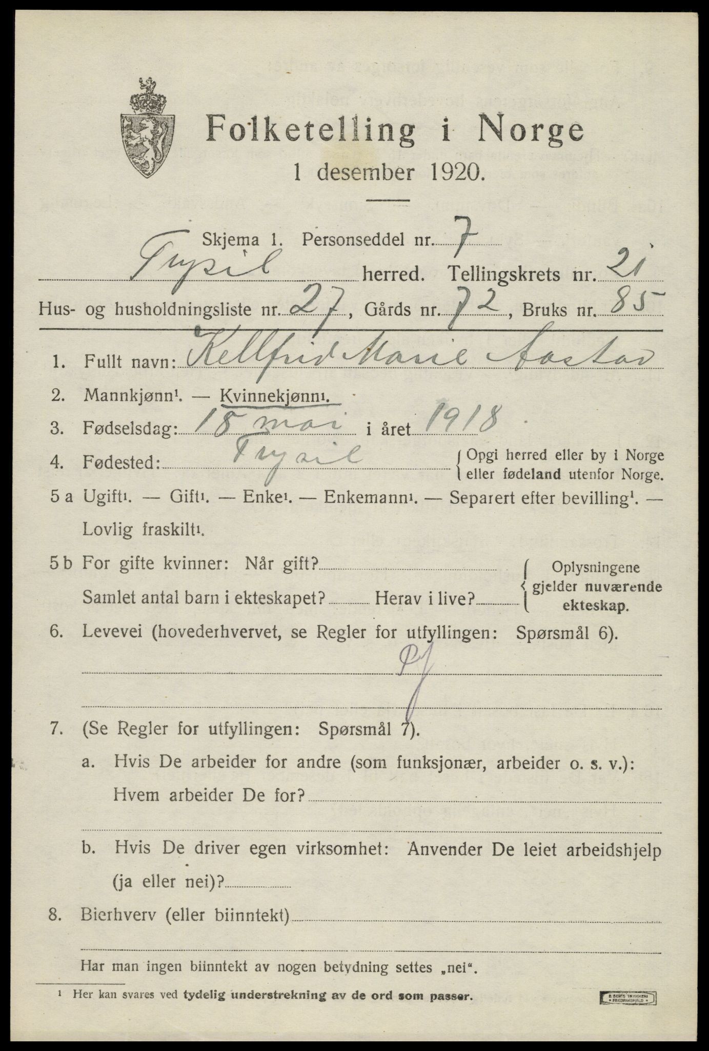 SAH, 1920 census for Trysil, 1920, p. 14101