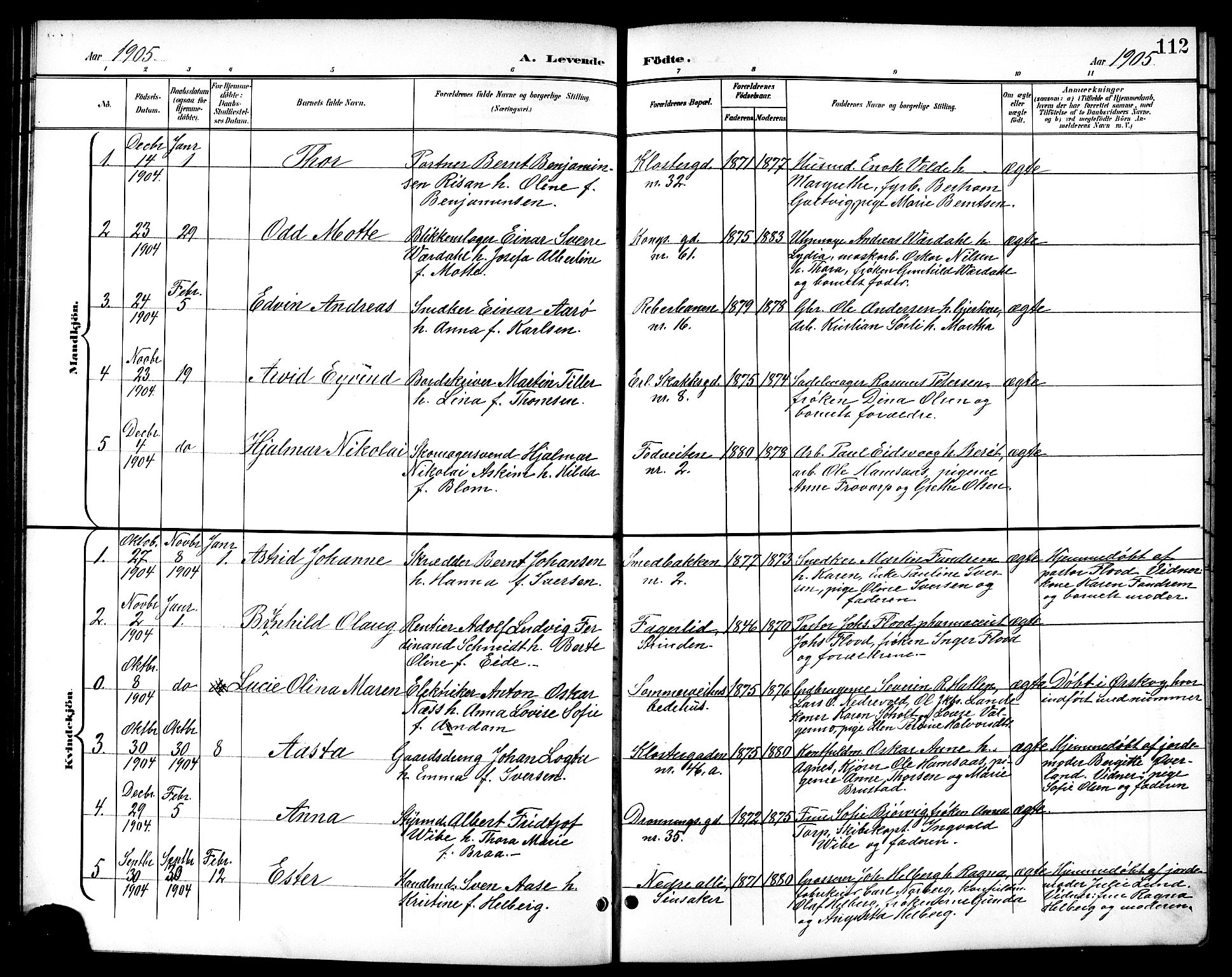 Ministerialprotokoller, klokkerbøker og fødselsregistre - Sør-Trøndelag, SAT/A-1456/601/L0094: Parish register (copy) no. 601C12, 1898-1911, p. 112