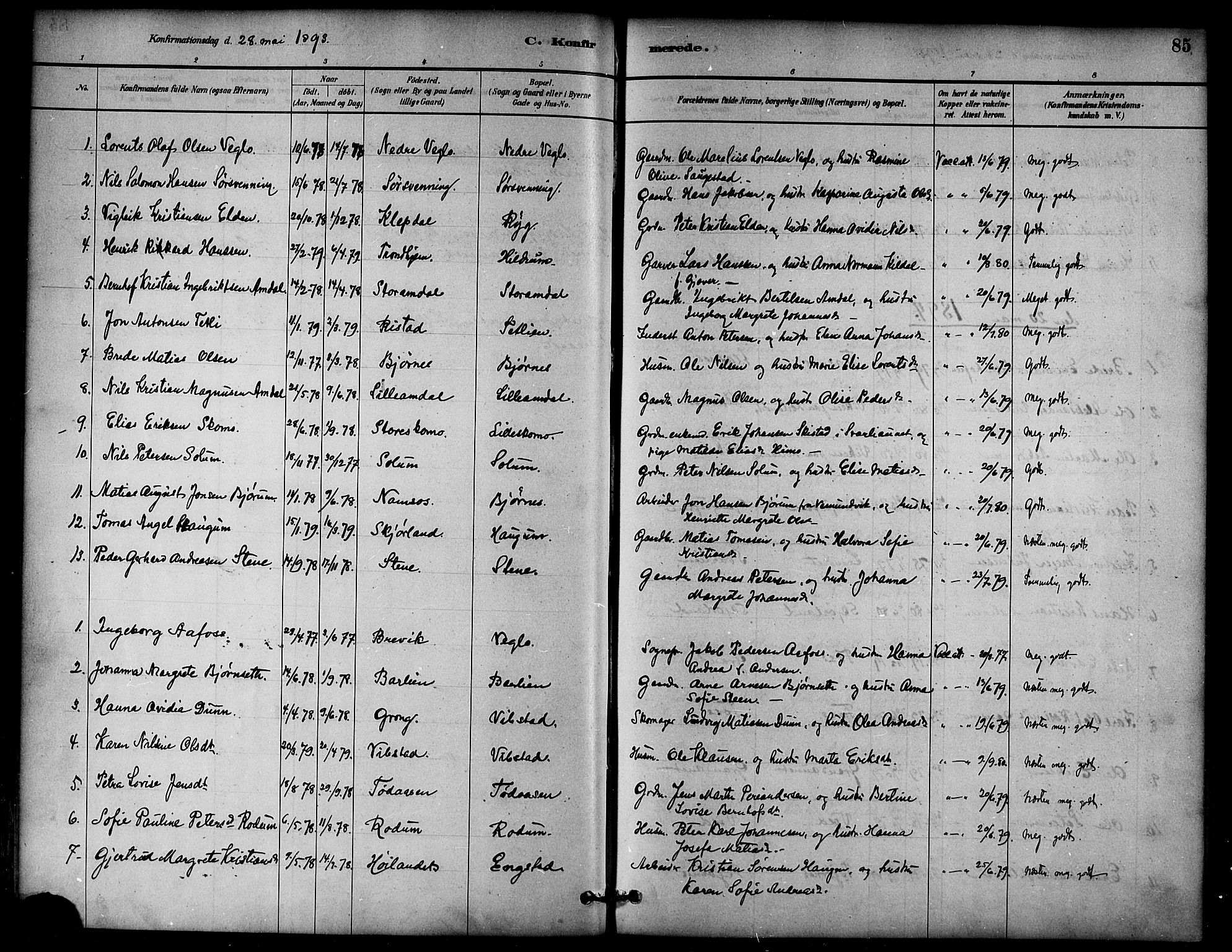 Ministerialprotokoller, klokkerbøker og fødselsregistre - Nord-Trøndelag, SAT/A-1458/764/L0555: Parish register (official) no. 764A10, 1881-1896, p. 85