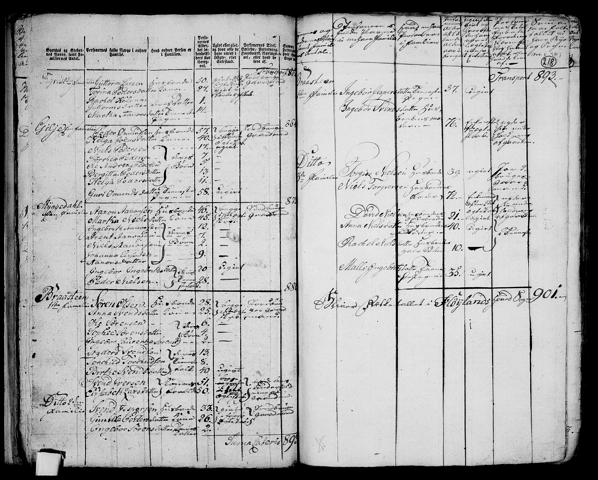 RA, 1801 census for 1123P Høyland, 1801, p. 217b-218a