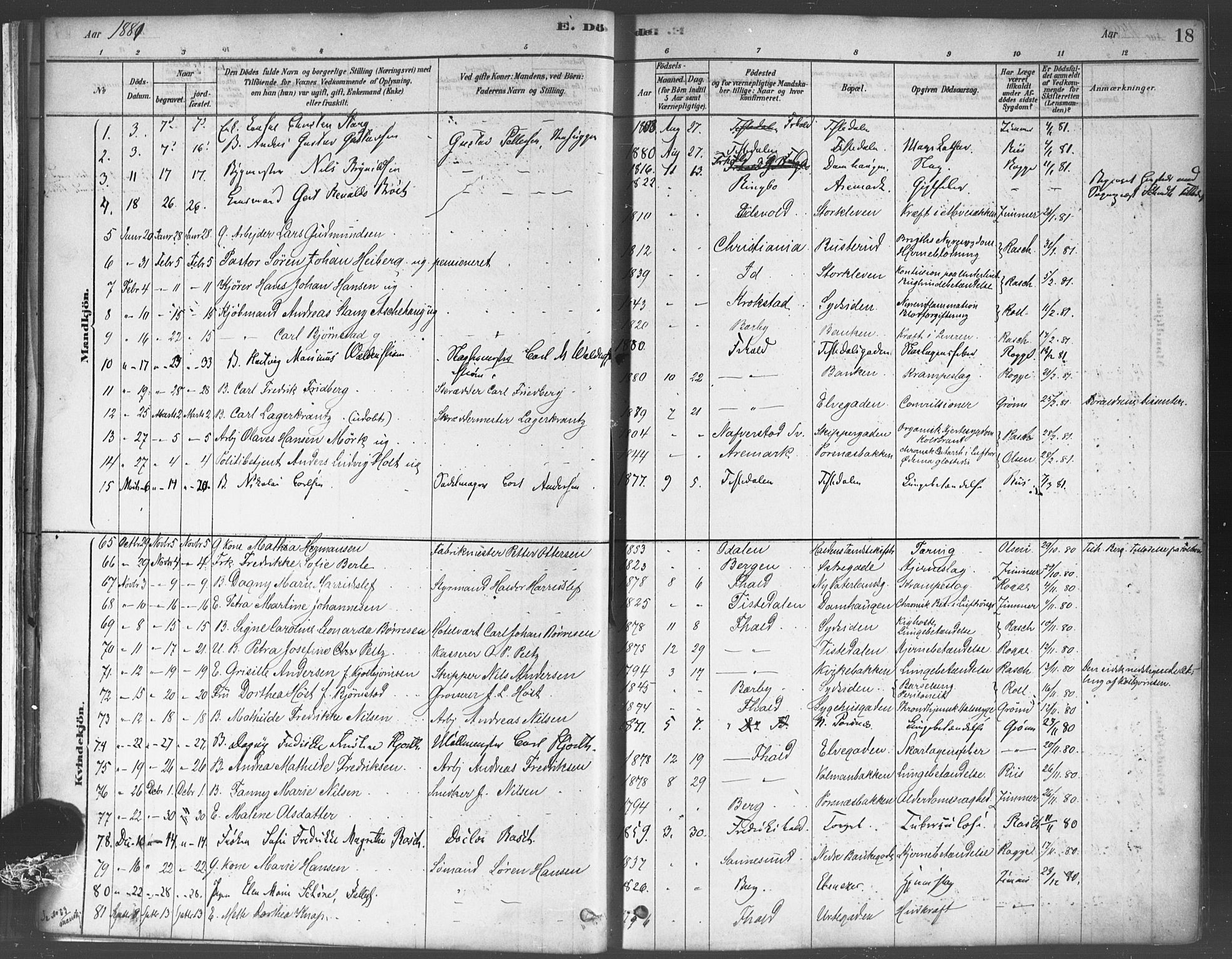 Halden prestekontor Kirkebøker, AV/SAO-A-10909/F/Fa/L0012: Parish register (official) no. I 12, 1878-1889, p. 18