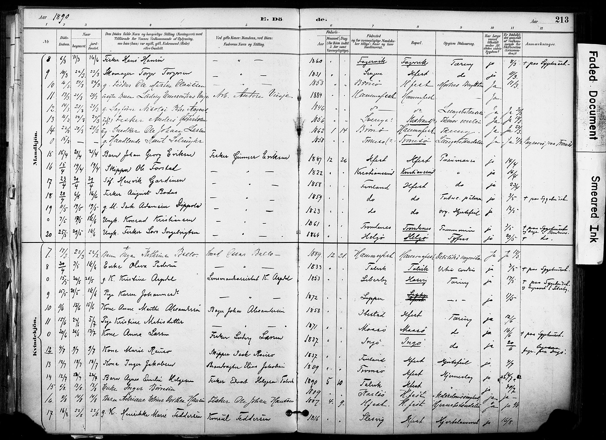 Hammerfest sokneprestkontor, AV/SATØ-S-1347/H/Ha/L0009.kirke: Parish register (official) no. 9, 1889-1897, p. 213