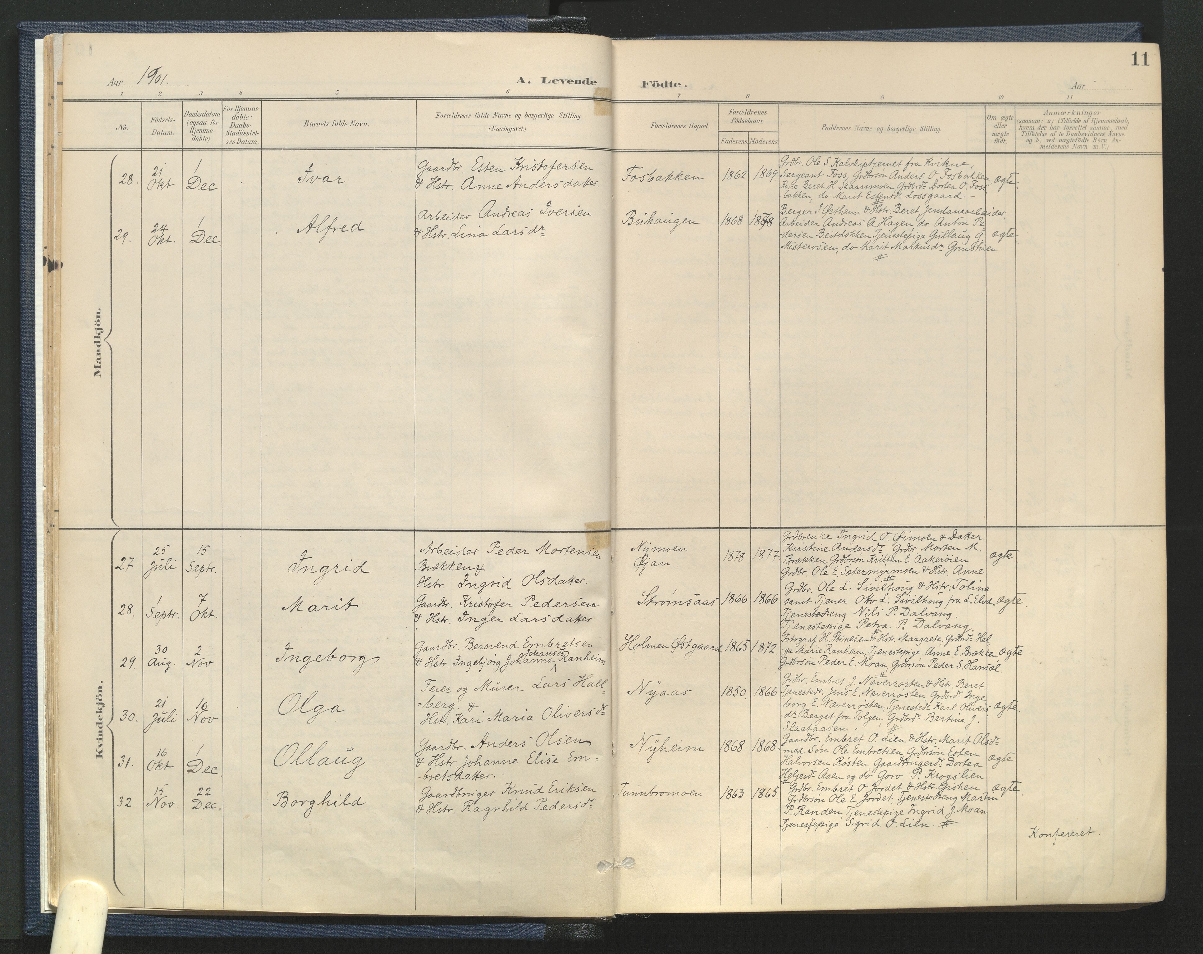 Tynset prestekontor, SAH/PREST-058/H/Ha/Haa/L0025: Parish register (official) no. 25, 1900-1914, p. 11