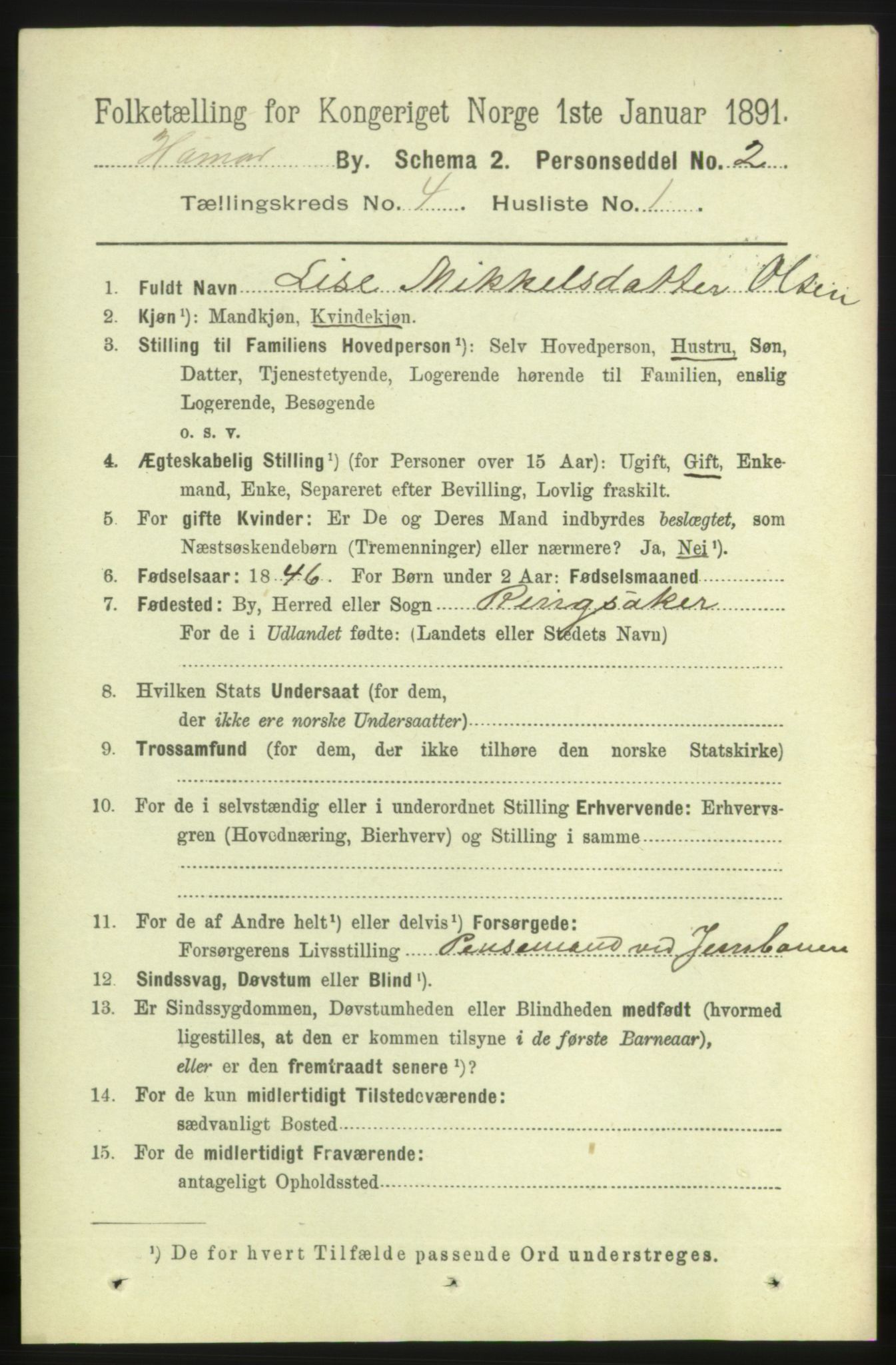 RA, 1891 census for 0401 Hamar, 1891, p. 2695