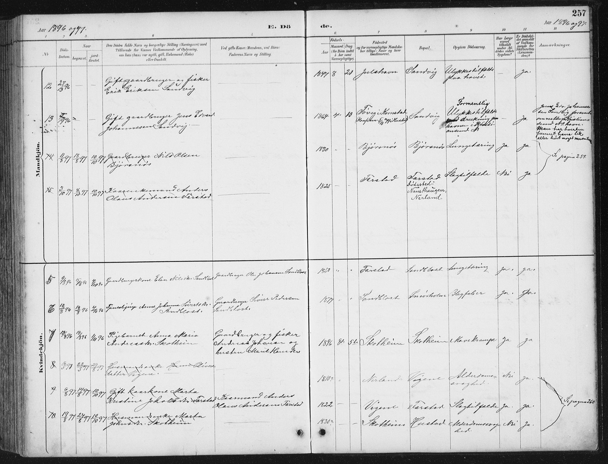 Ministerialprotokoller, klokkerbøker og fødselsregistre - Møre og Romsdal, AV/SAT-A-1454/567/L0783: Parish register (copy) no. 567C03, 1887-1903, p. 257