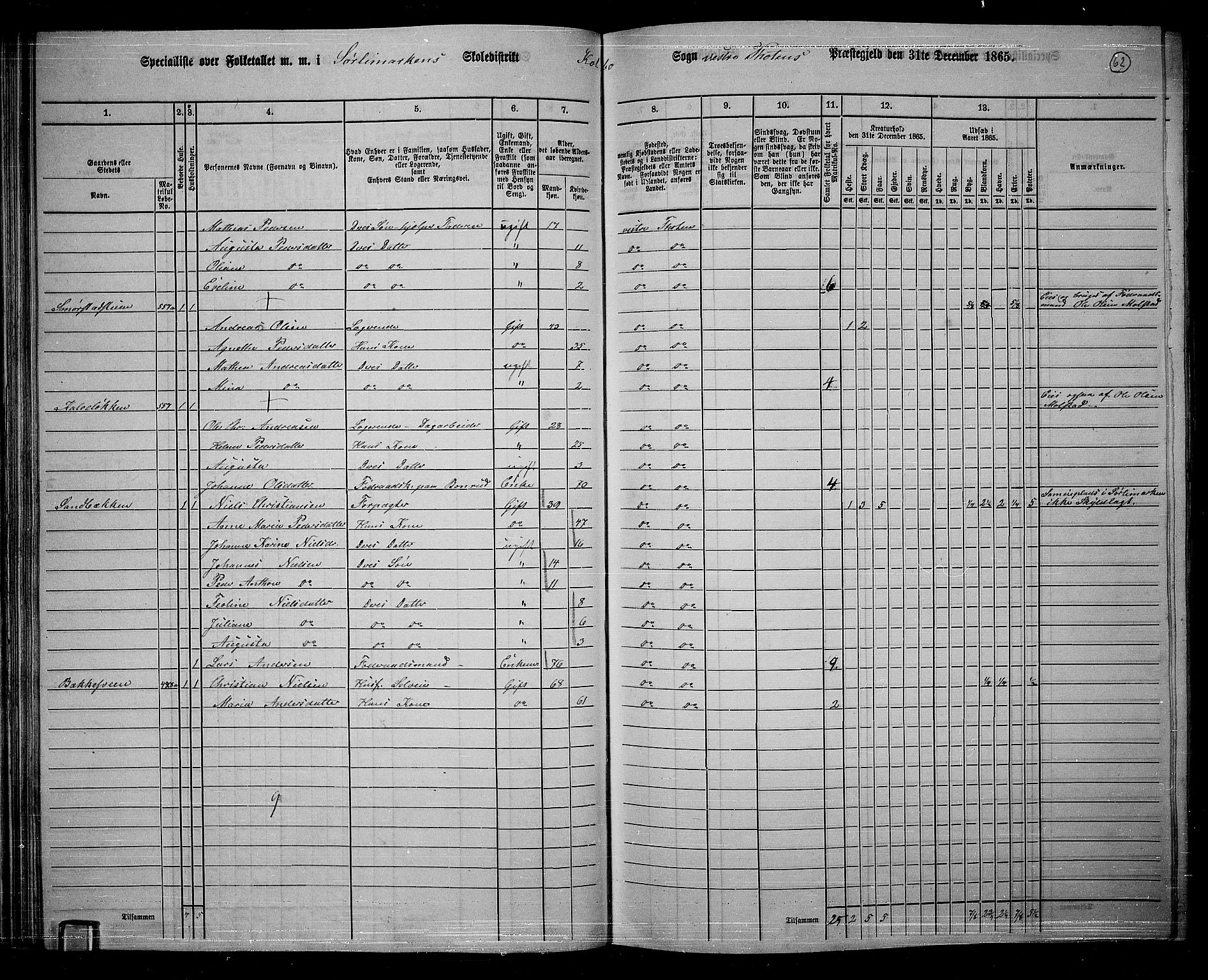 RA, 1865 census for Vestre Toten, 1865, p. 219