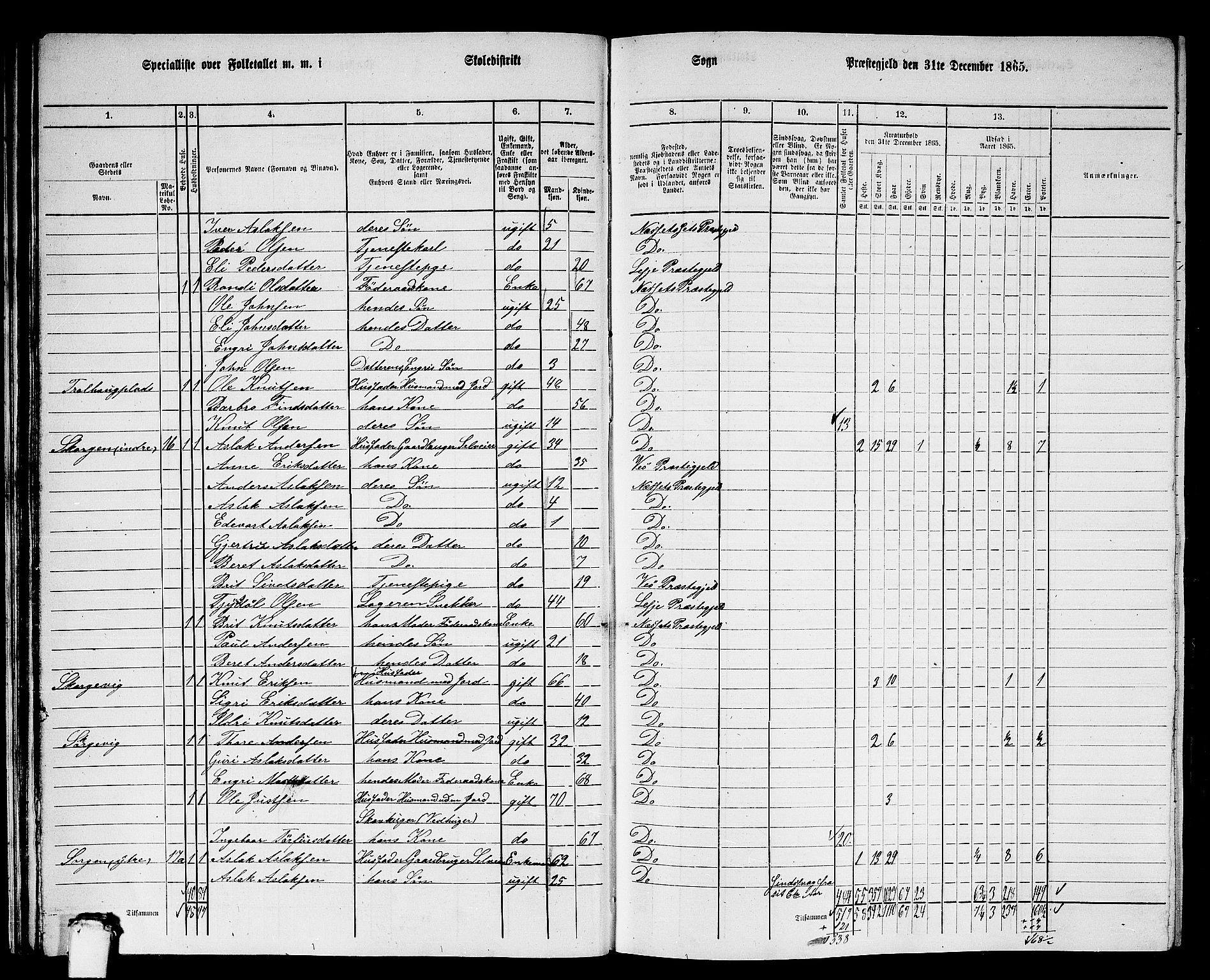 RA, 1865 census for Nesset, 1865, p. 29