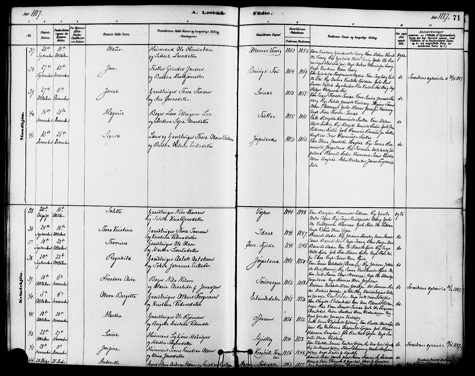 Strand sokneprestkontor, SAST/A-101828/H/Ha/Haa/L0009: Parish register (official) no. A 9, 1877-1908, p. 71