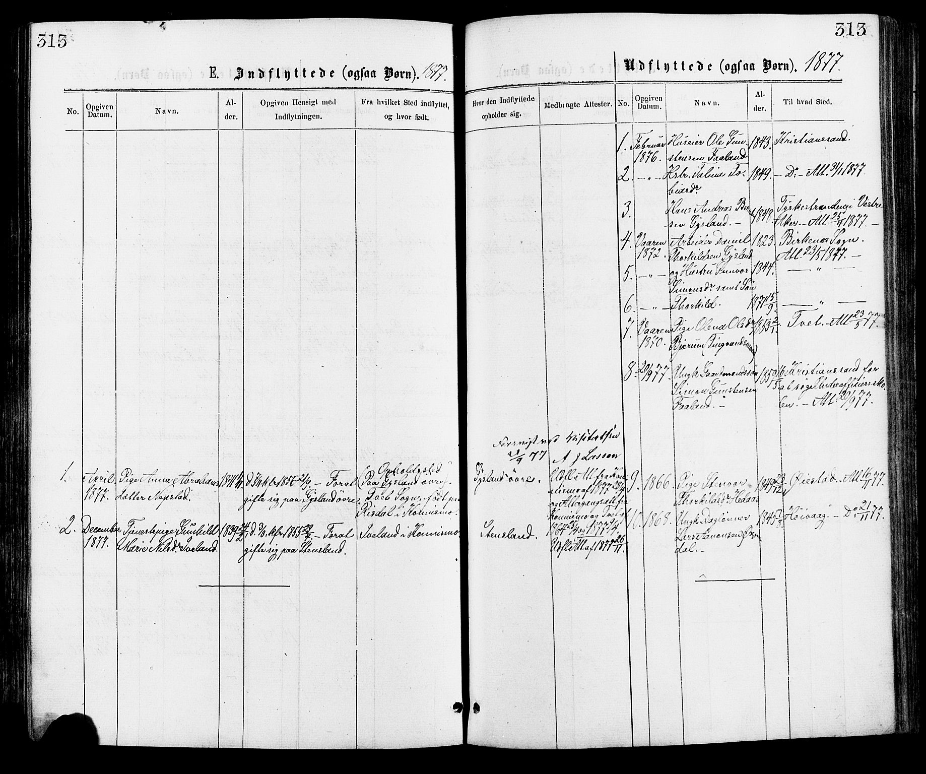 Hægebostad sokneprestkontor, AV/SAK-1111-0024/F/Fa/Faa/L0005: Parish register (official) no. A 5, 1864-1886, p. 313