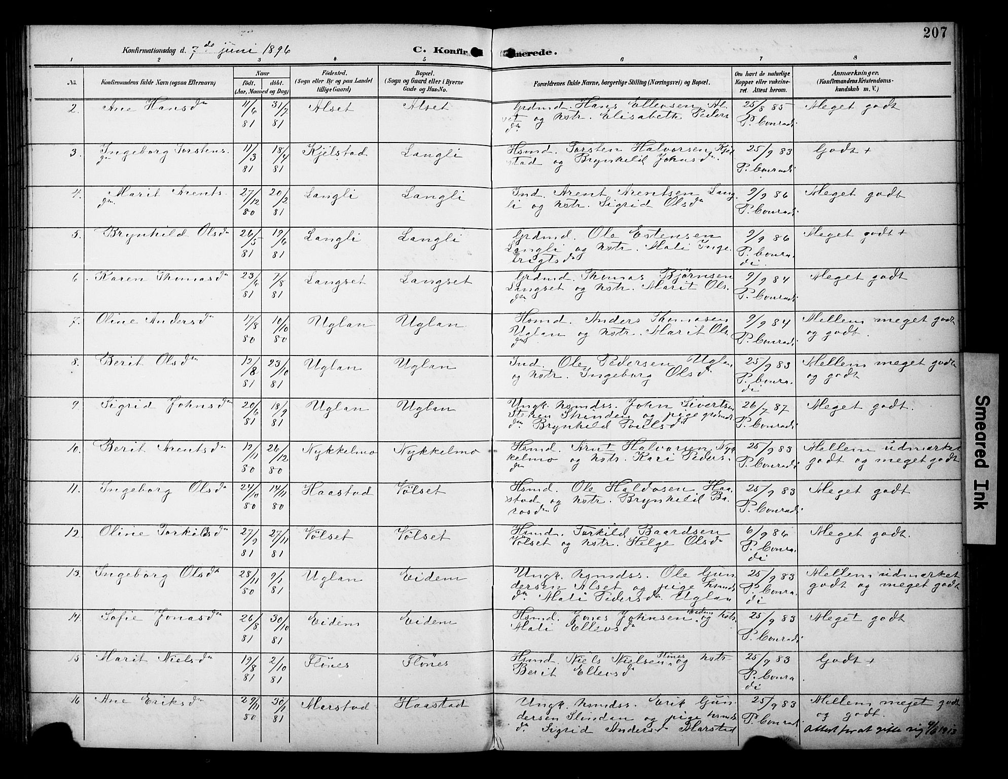 Ministerialprotokoller, klokkerbøker og fødselsregistre - Sør-Trøndelag, AV/SAT-A-1456/695/L1149: Parish register (official) no. 695A09, 1891-1902, p. 207