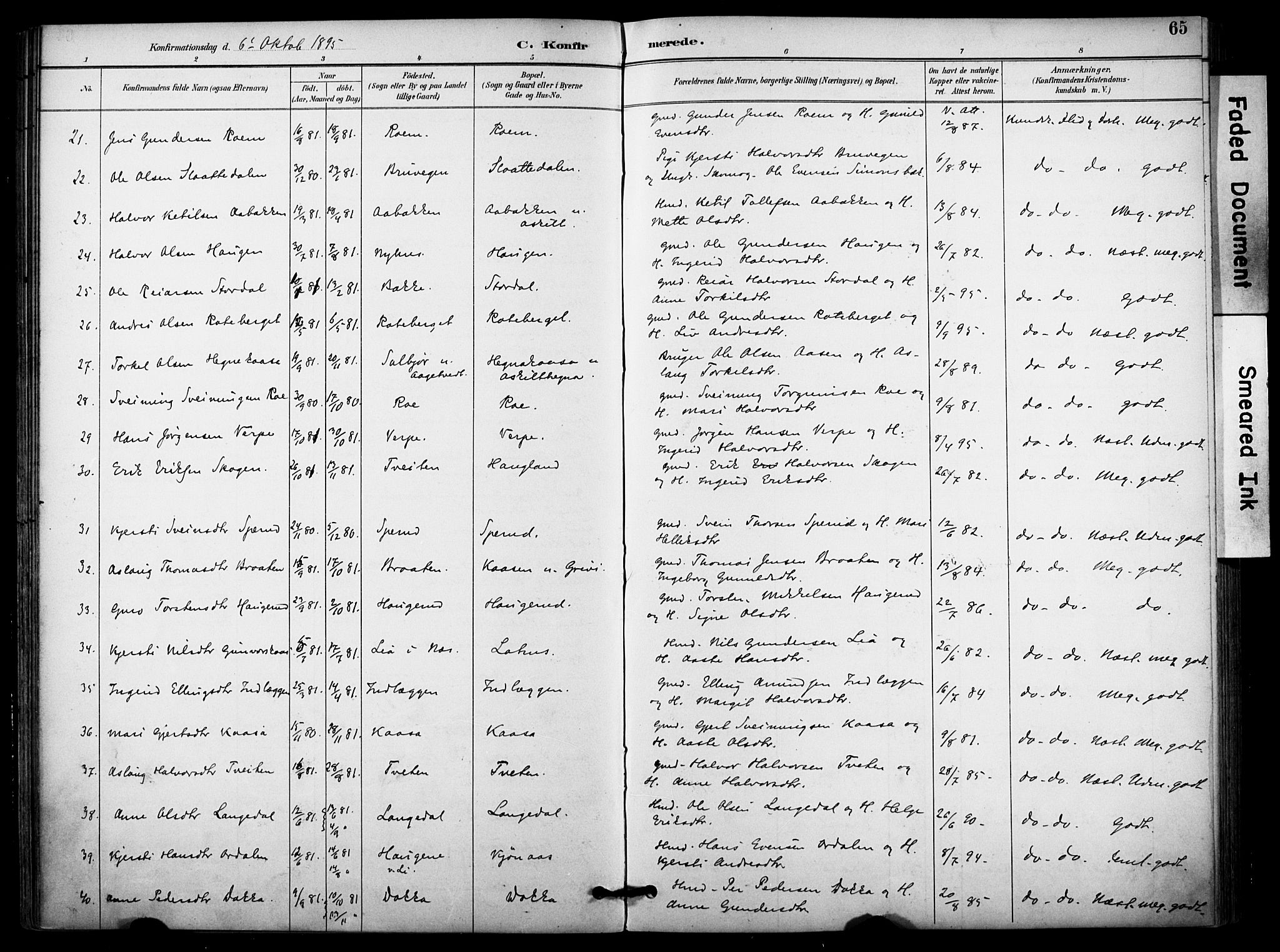 Bø kirkebøker, SAKO/A-257/F/Fa/L0011: Parish register (official) no. 11, 1892-1900, p. 65