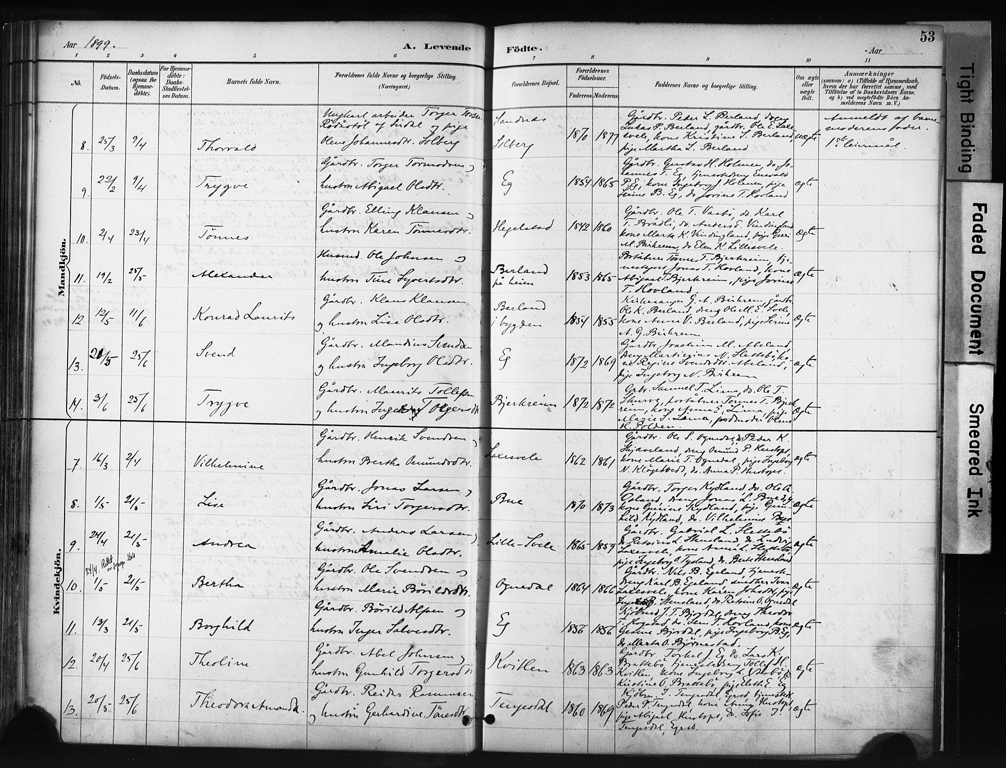 Helleland sokneprestkontor, AV/SAST-A-101810: Parish register (official) no. A 9, 1887-1908, p. 53