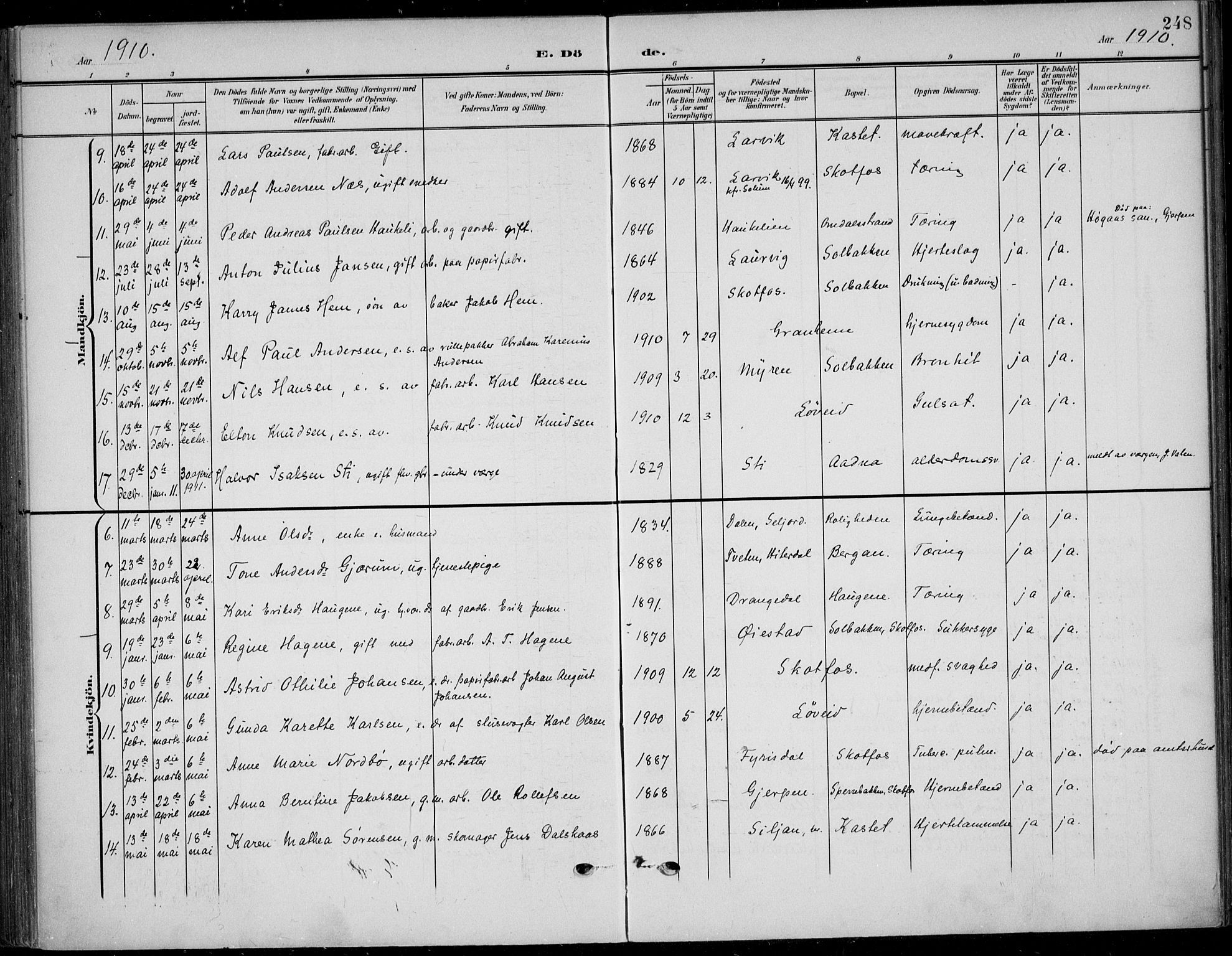 Solum kirkebøker, SAKO/A-306/F/Fb/L0003: Parish register (official) no. II 3, 1901-1912, p. 248