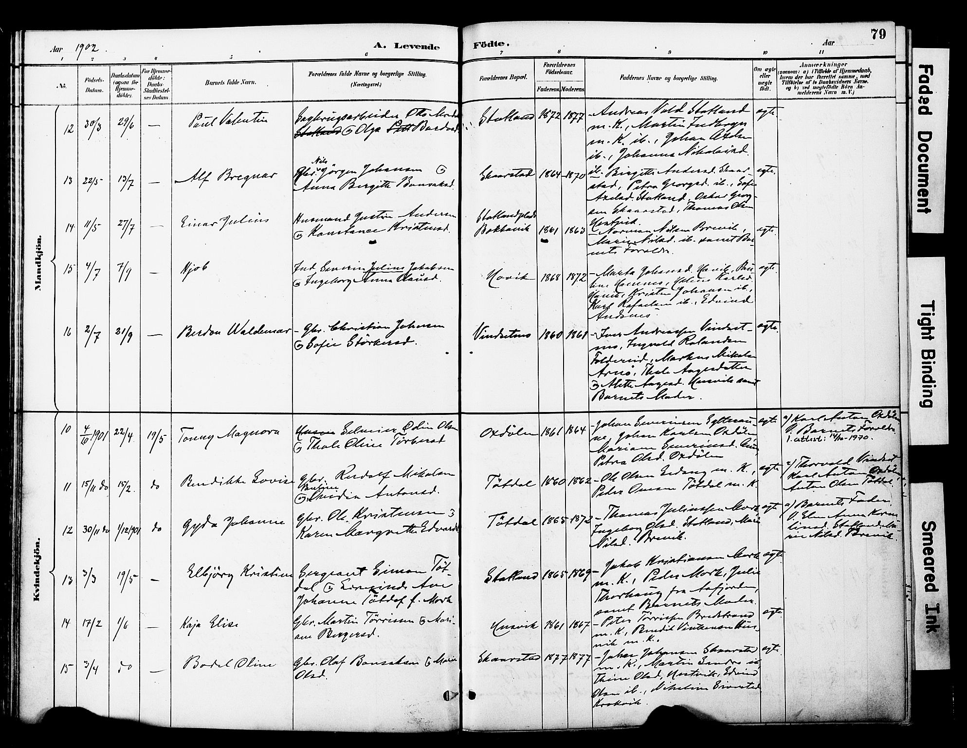 Ministerialprotokoller, klokkerbøker og fødselsregistre - Nord-Trøndelag, SAT/A-1458/774/L0628: Parish register (official) no. 774A02, 1887-1903, p. 79