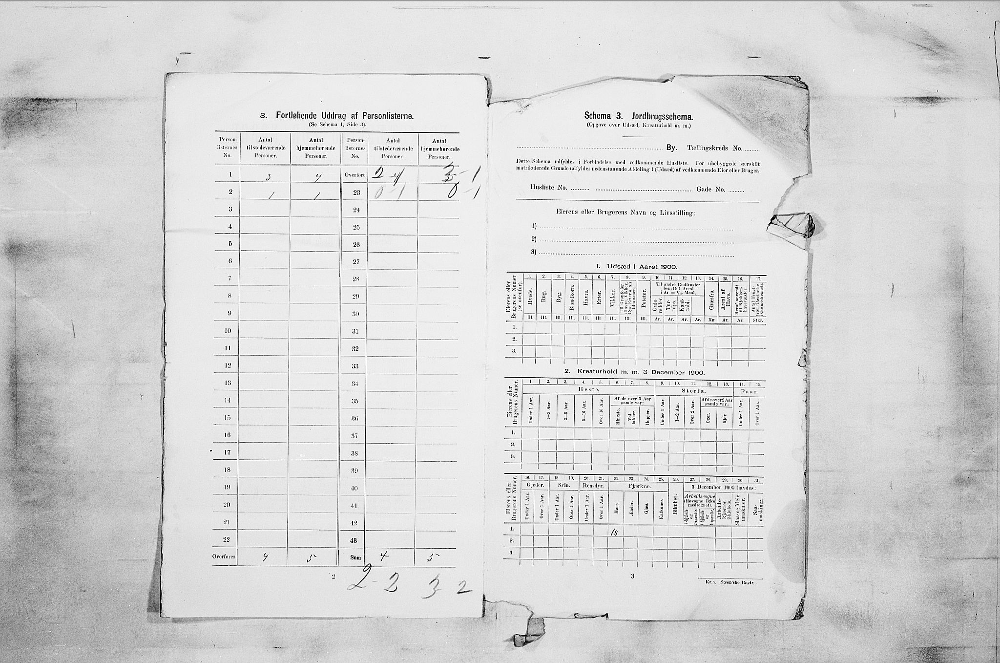 RA, 1900 census for Sandefjord, 1900, p. 2841