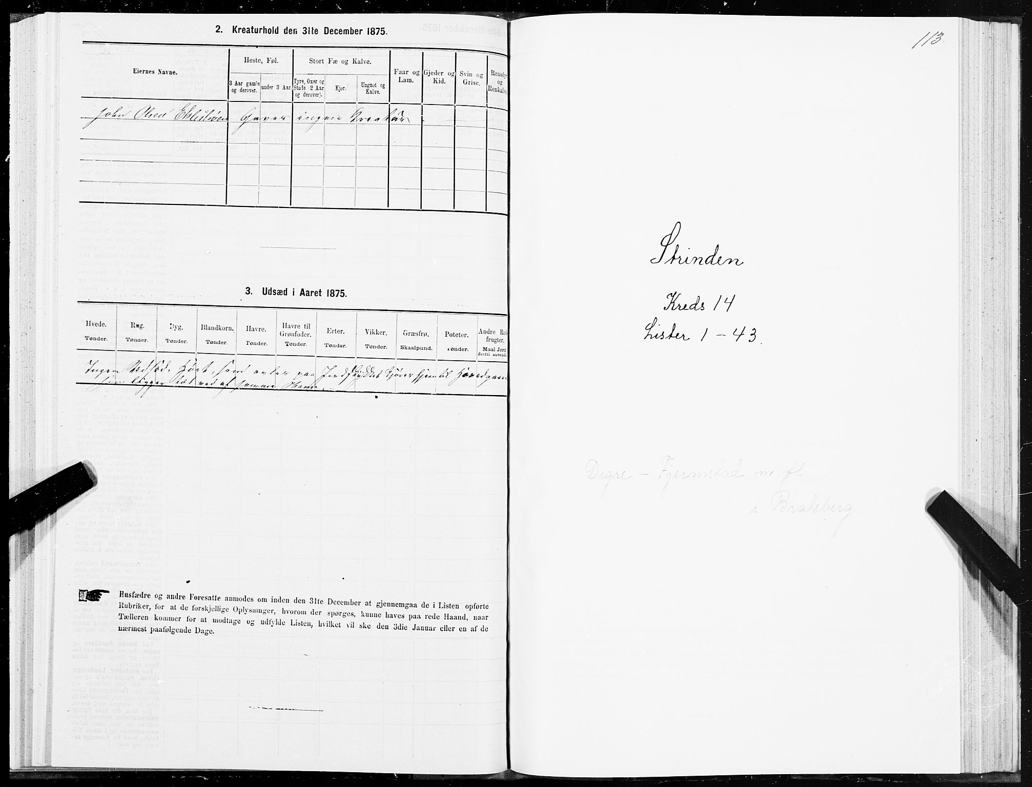 SAT, 1875 census for 1660P Strinda, 1875, p. 8113