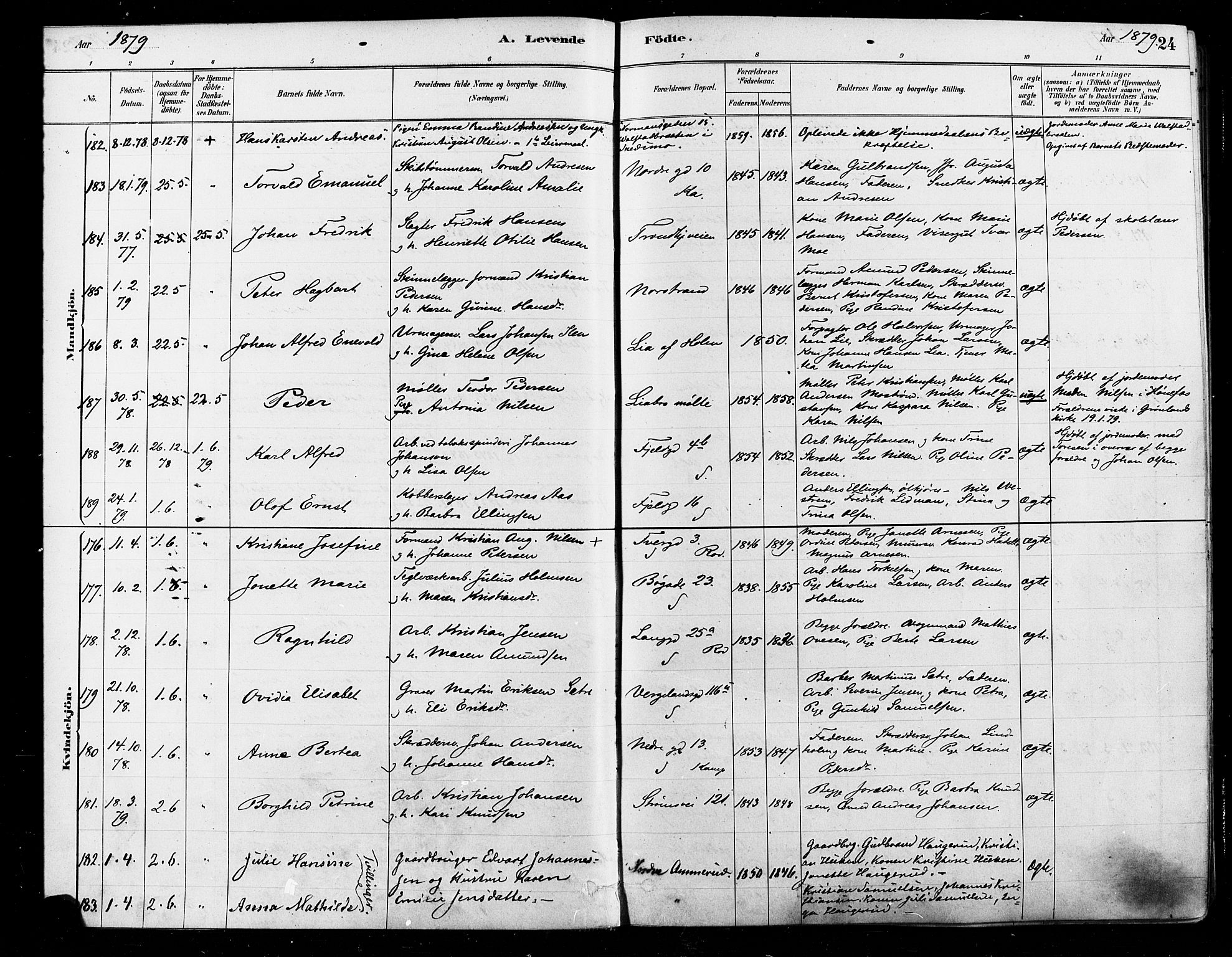 Østre Aker prestekontor Kirkebøker, SAO/A-10840/F/Fa/L0006: Parish register (official) no. I 5, 1879-1882, p. 24