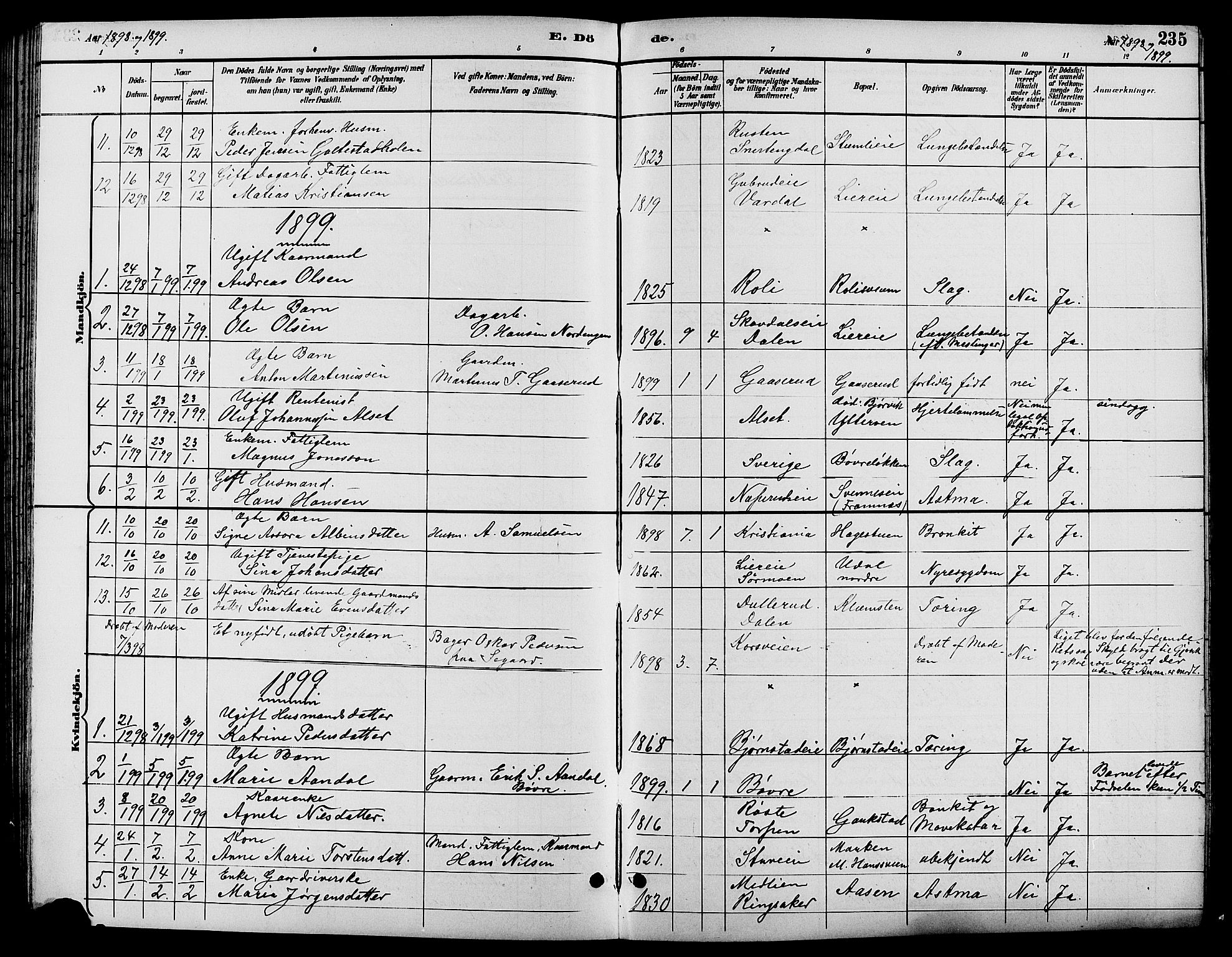 Biri prestekontor, SAH/PREST-096/H/Ha/Hab/L0004: Parish register (copy) no. 4, 1892-1909, p. 235