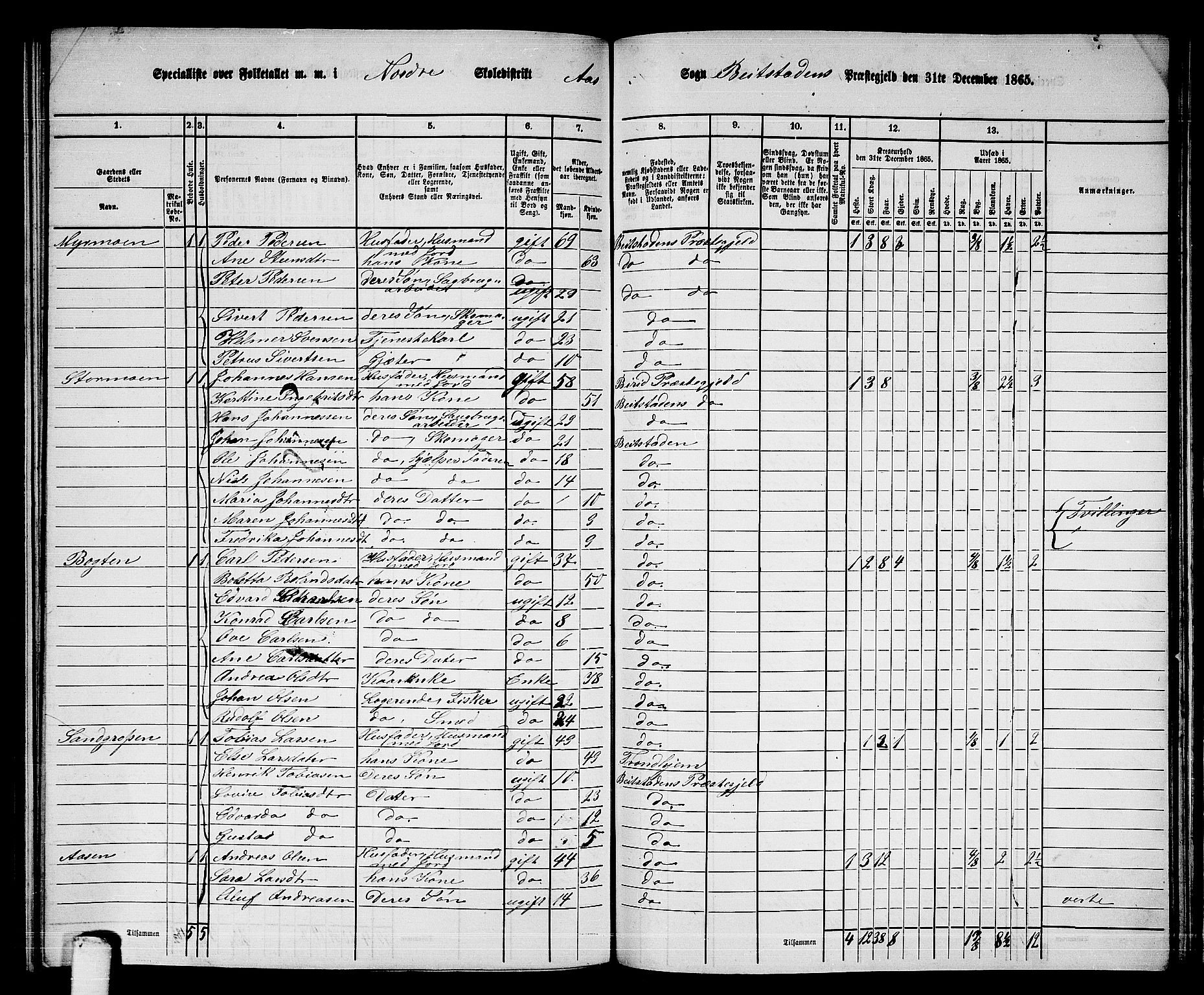 RA, 1865 census for Beitstad, 1865, p. 162