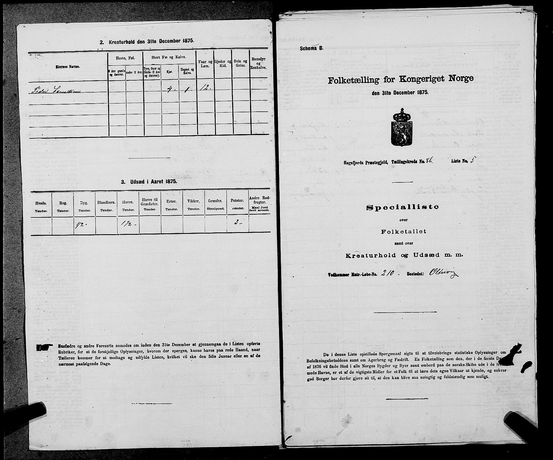 SAST, 1875 census for 1128P Høgsfjord, 1875, p. 724