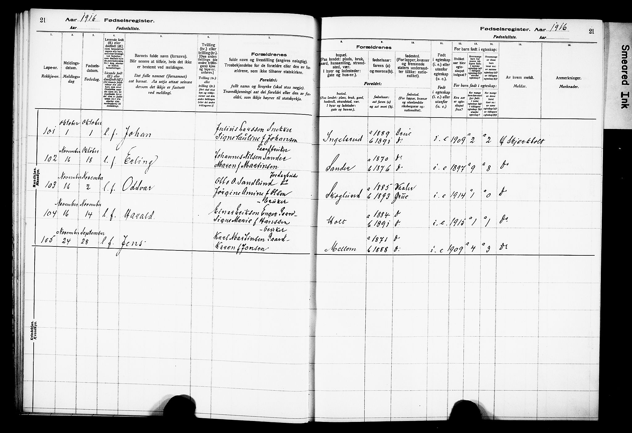 Grue prestekontor, AV/SAH-PREST-036/I/Id/Ida/L0001: Birth register no. I 1, 1916-1926, p. 21