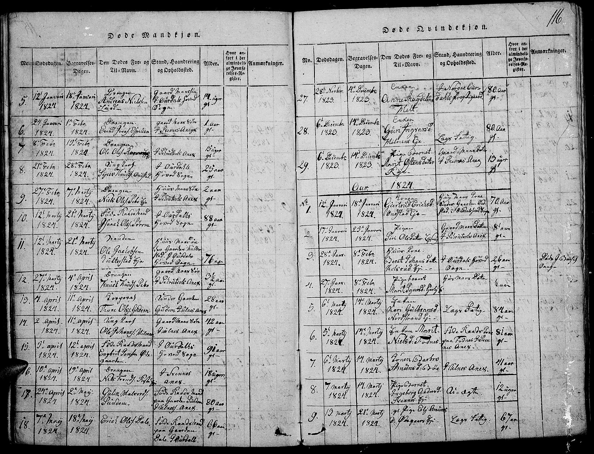 Nord-Aurdal prestekontor, SAH/PREST-132/H/Ha/Haa/L0002: Parish register (official) no. 2, 1816-1828, p. 116