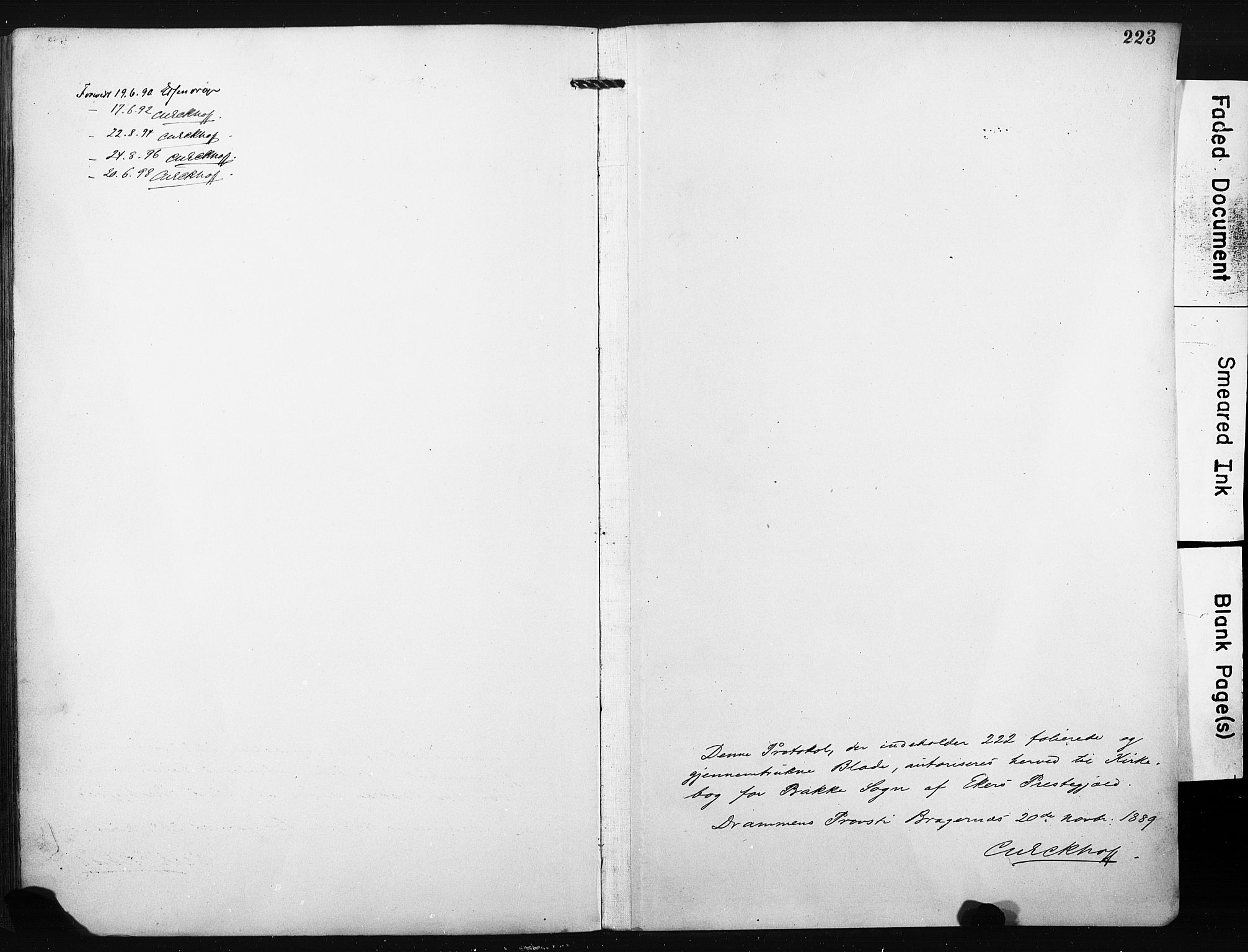 Eiker kirkebøker, SAKO/A-4/F/Fc/L0002: Parish register (official) no. III 2, 1889-1897, p. 223