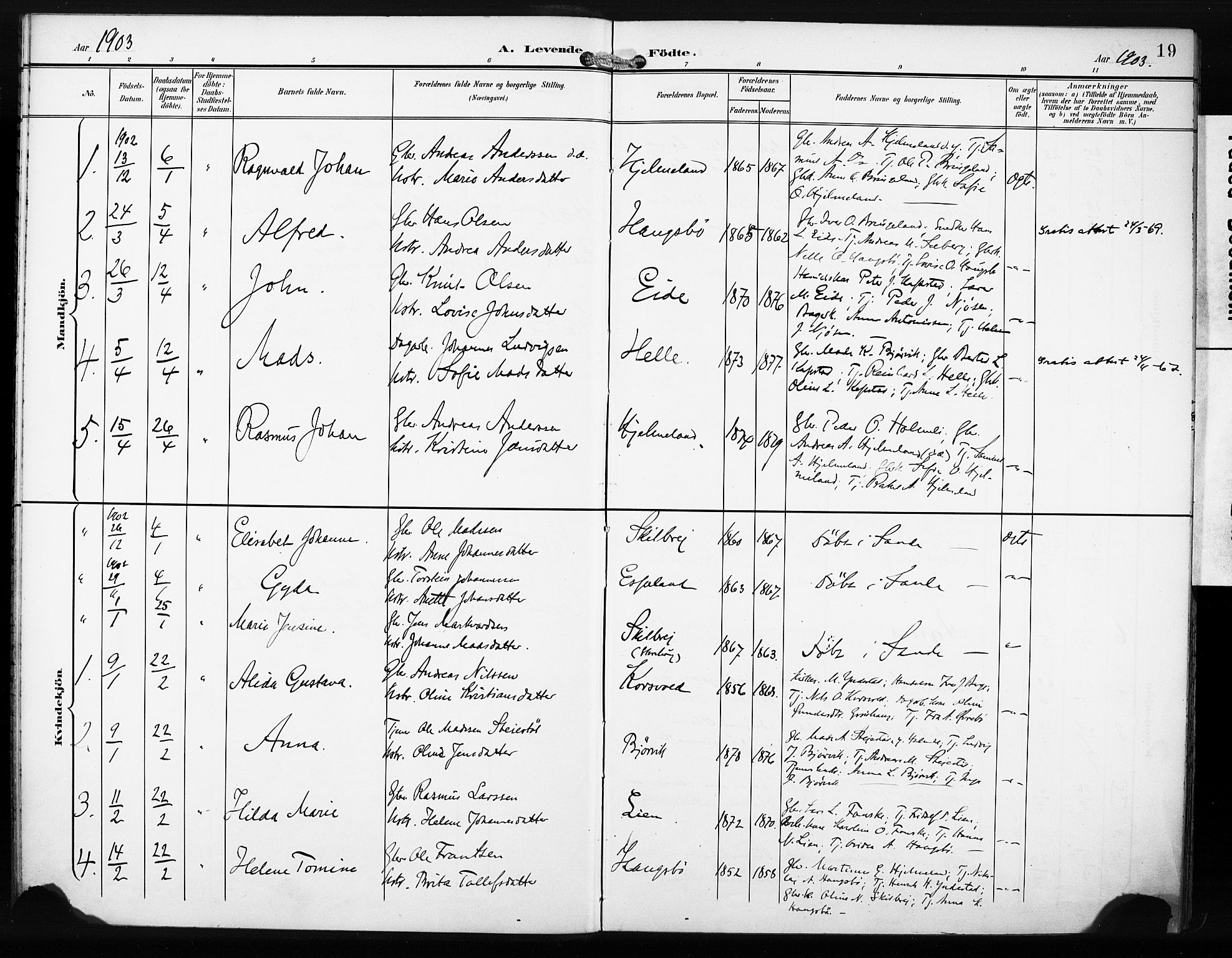 Gaular sokneprestembete, AV/SAB-A-80001/H/Haa: Parish register (official) no. C 2, 1898-1910, p. 19