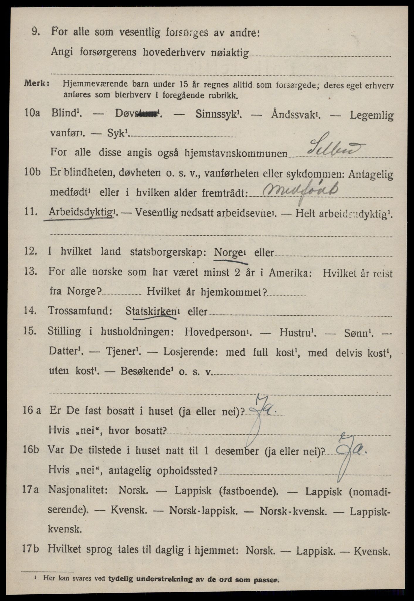 SAT, 1920 census for Selbu, 1920, p. 7453